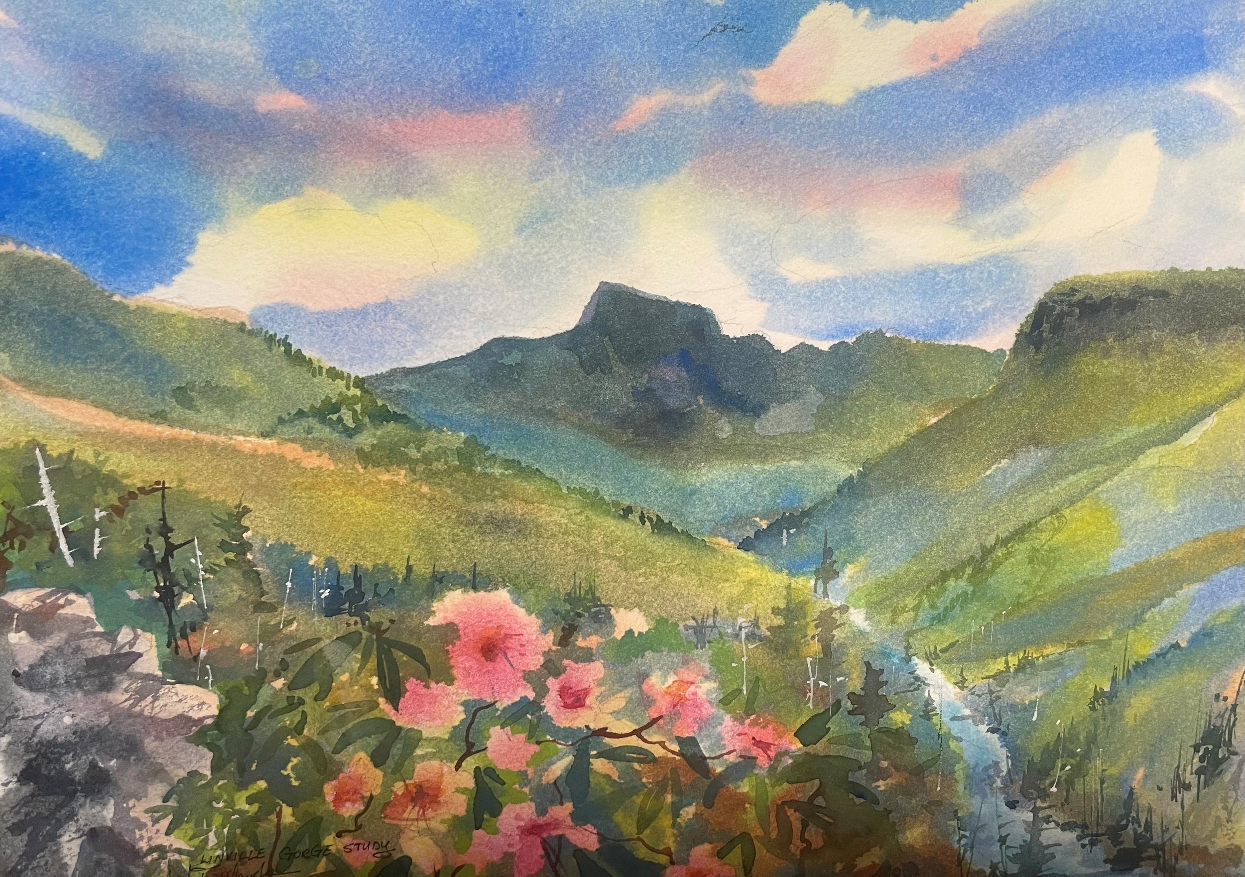 Linville Gorge Study SOLD