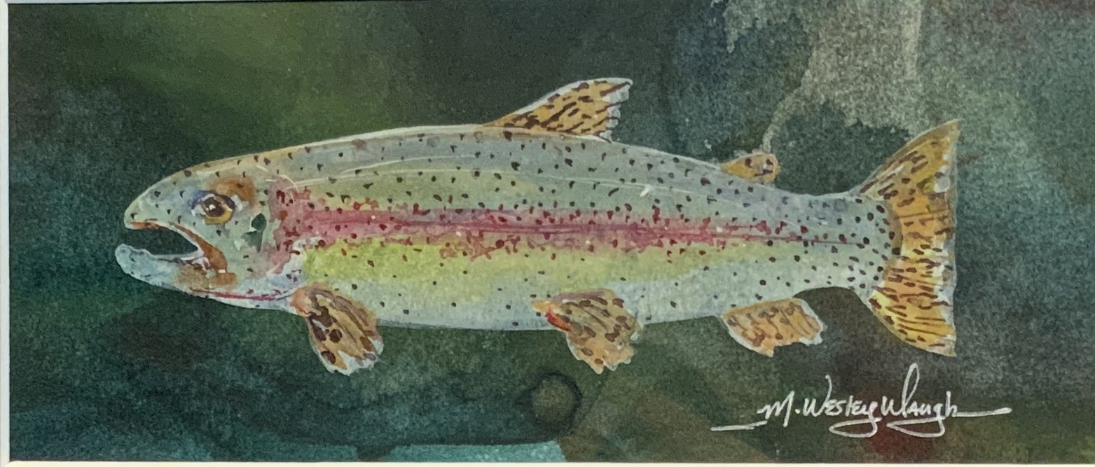Rainbow Trout SOLD
