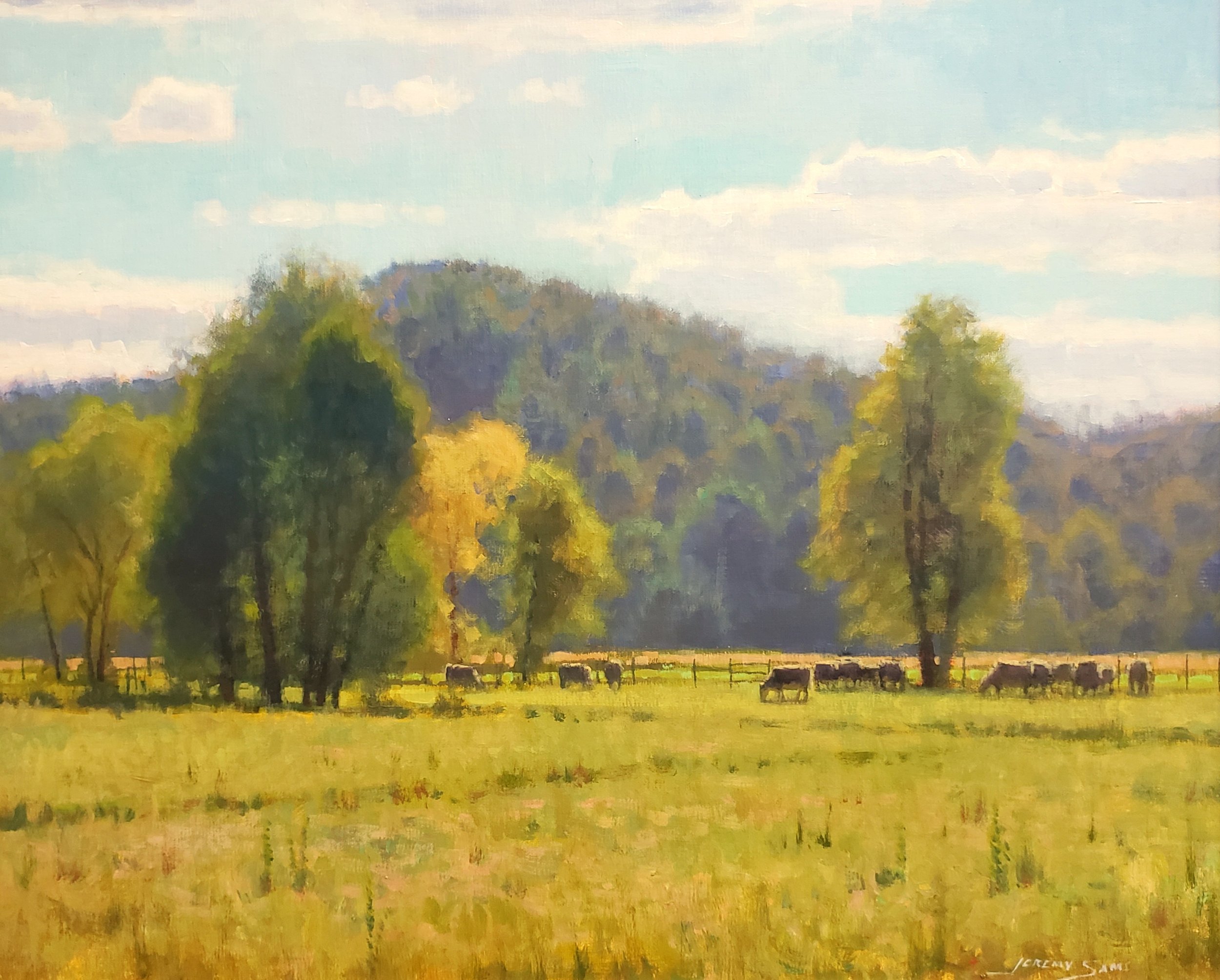 Blue Ridge Grazing   SOLD