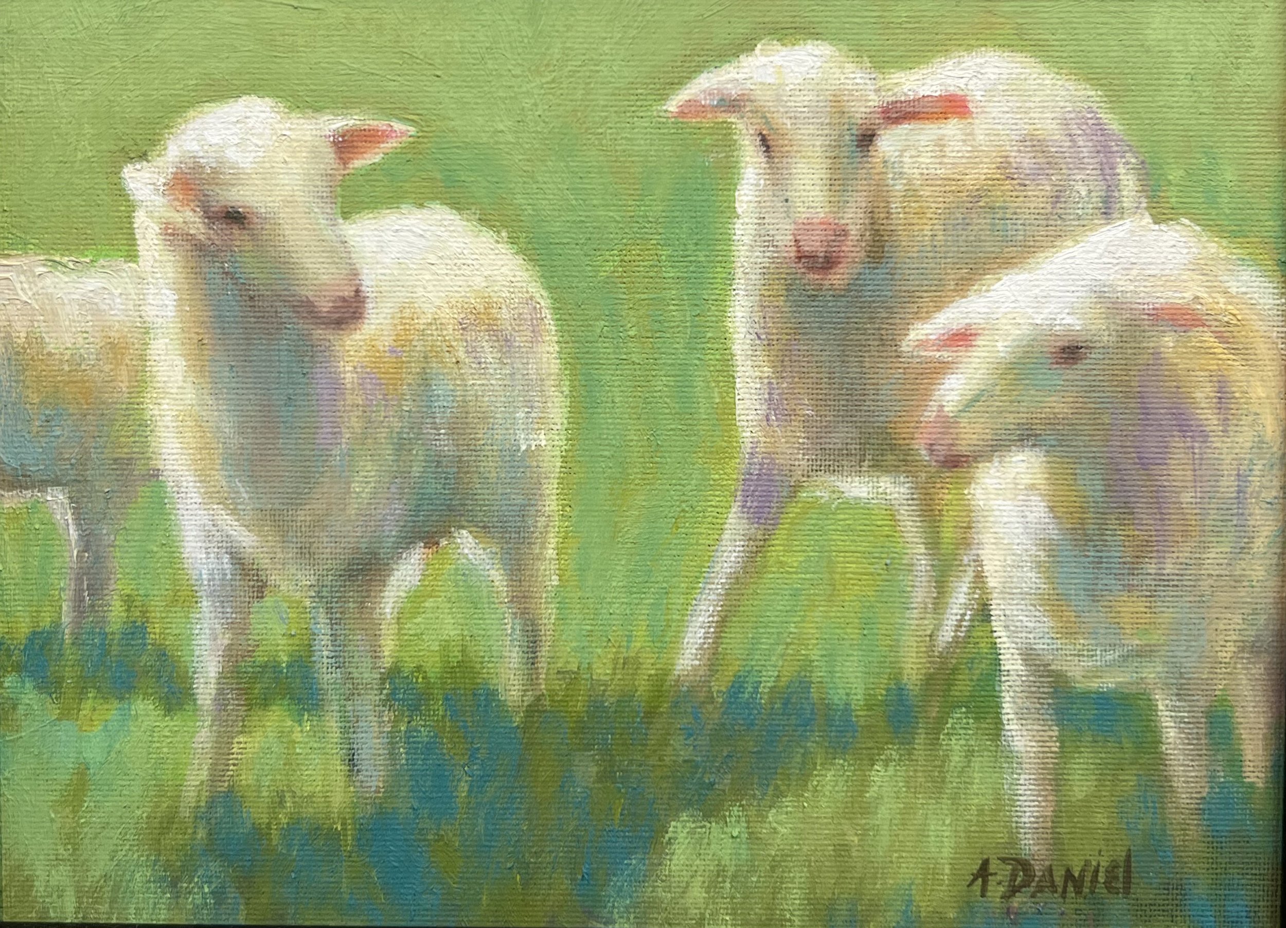 Three Sheep   SOLD
