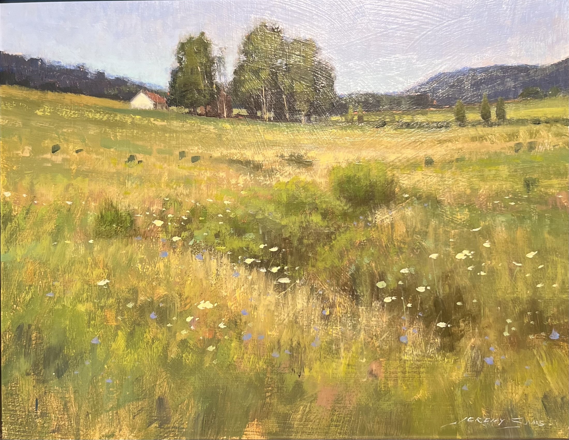 High Country Meadow