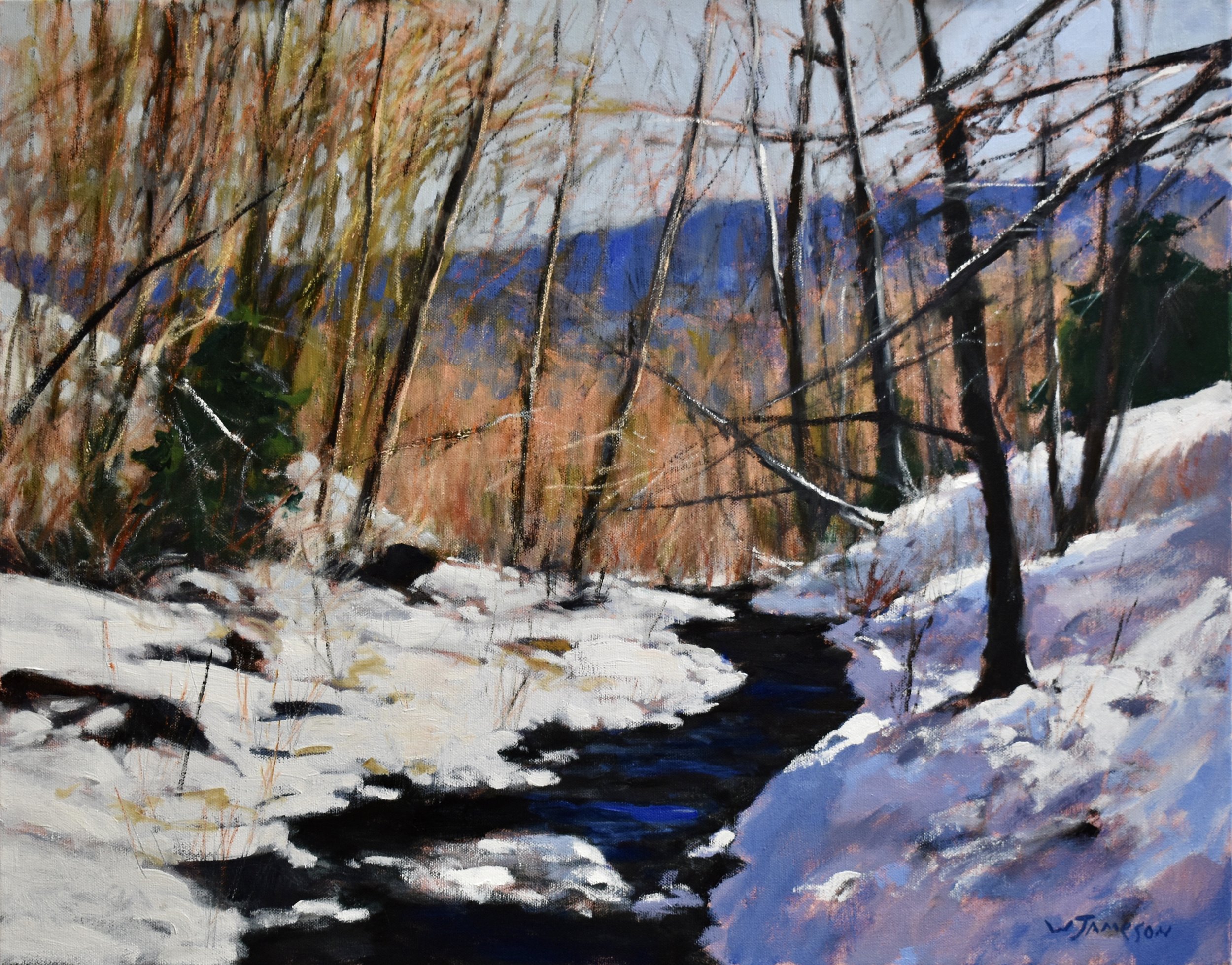 Shadows Along Pine Creek Run  SOLD