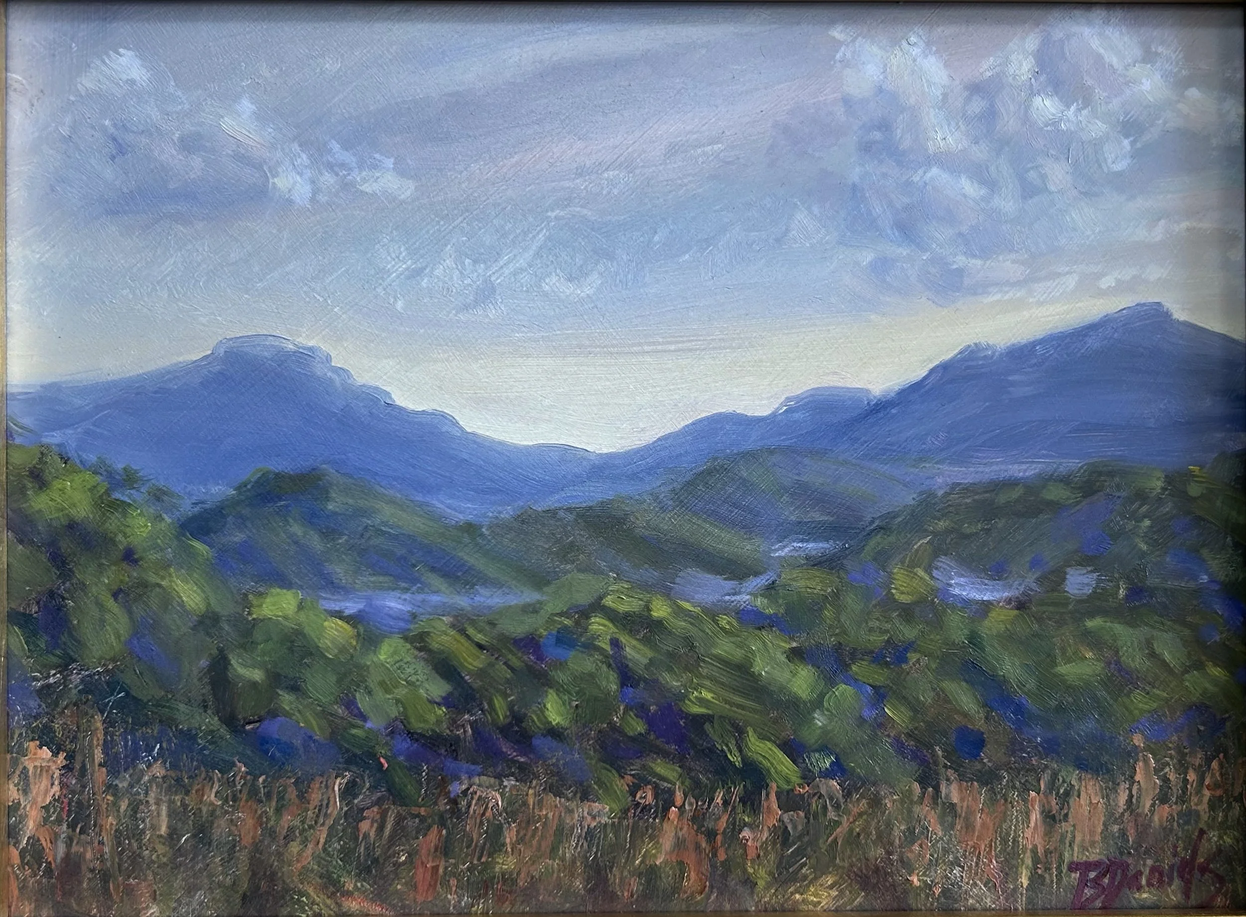 Catawba Overlook
