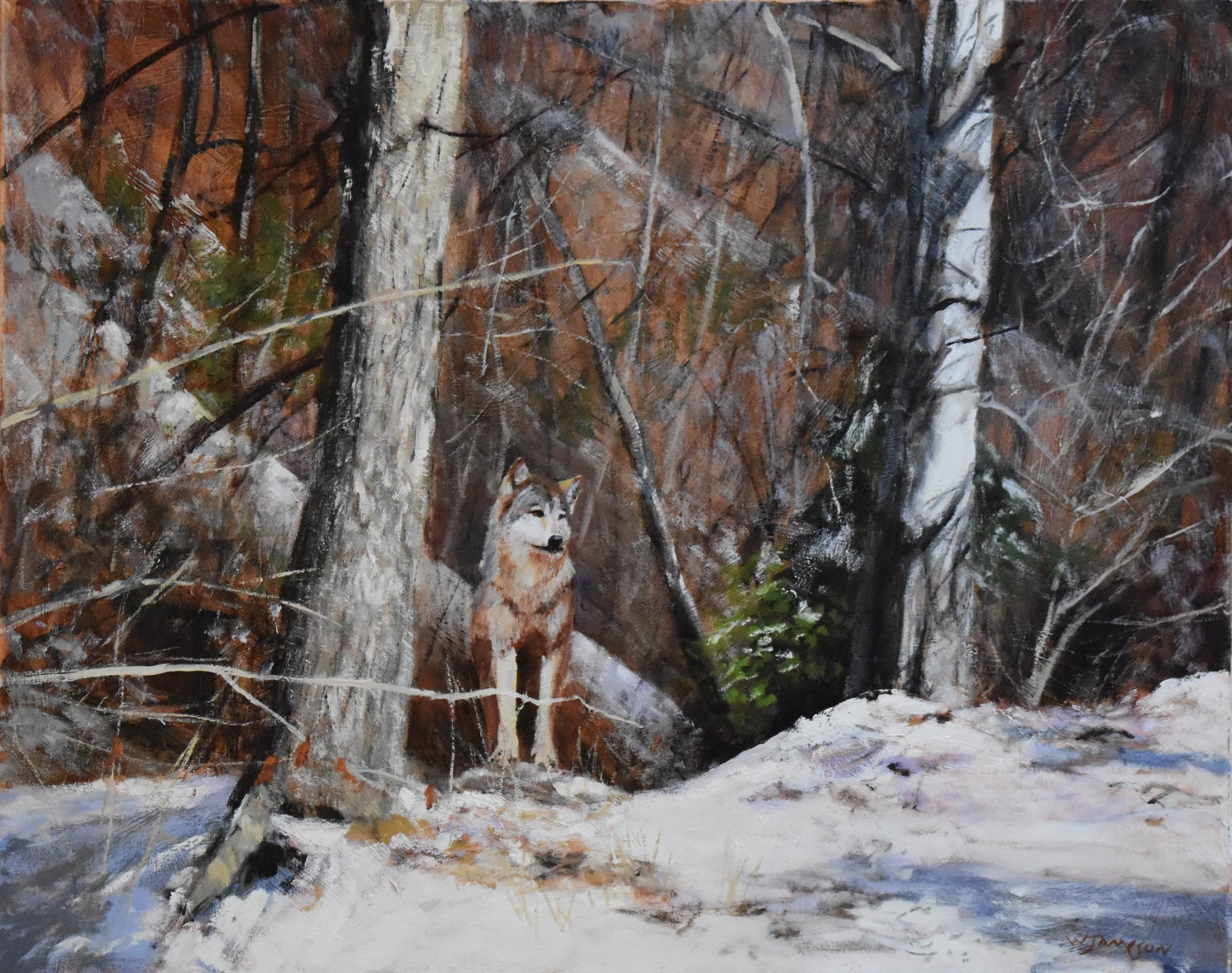 Brother Wolf by Bill Jameson