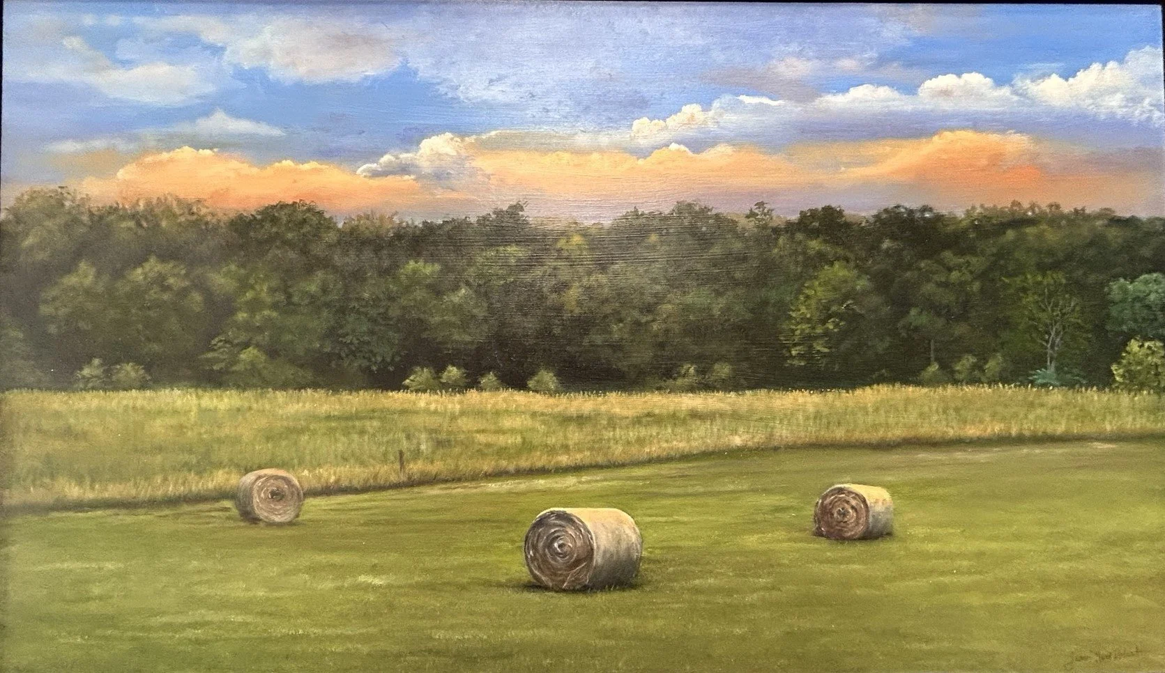 Three in the Field  24x14.jpeg