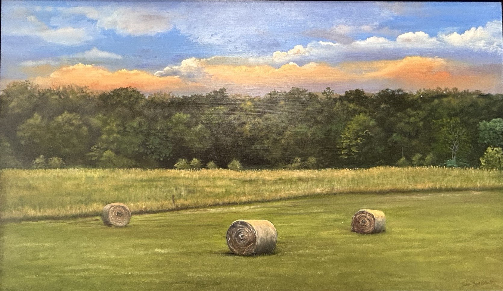 Three in the Field