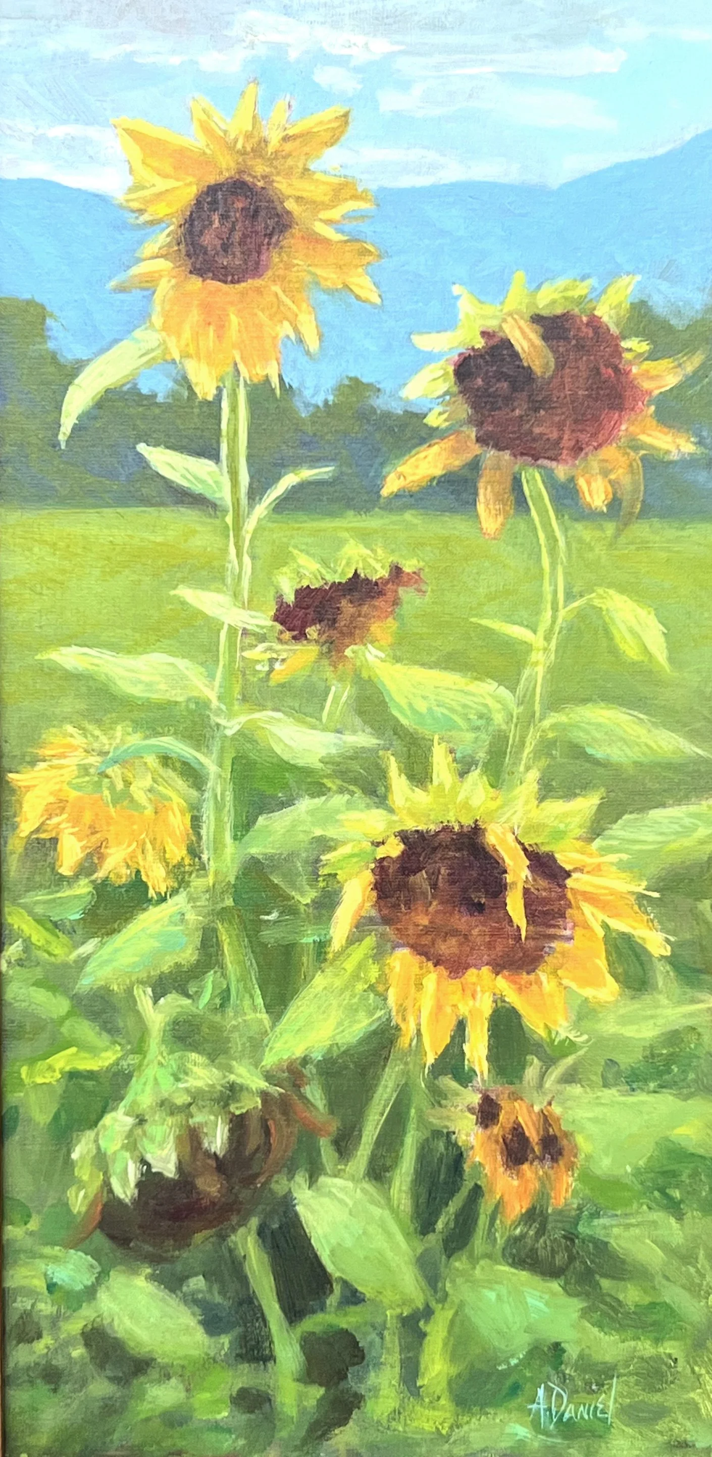Sunlite Watchers