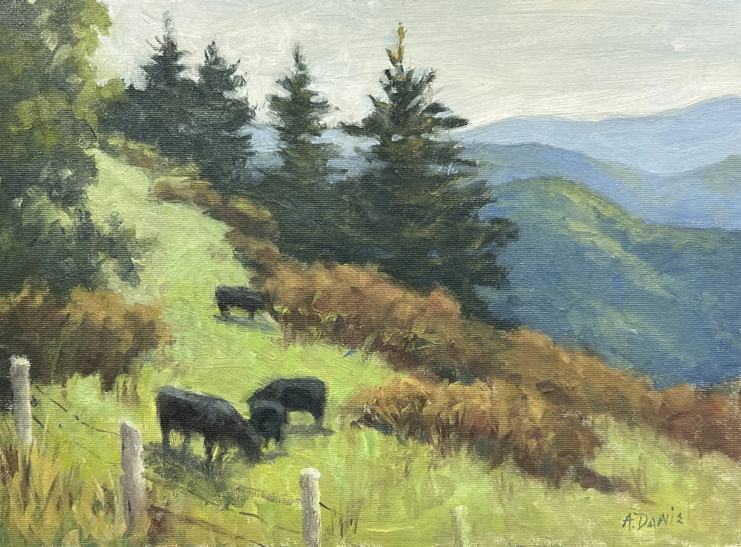Wanderers of the Hills