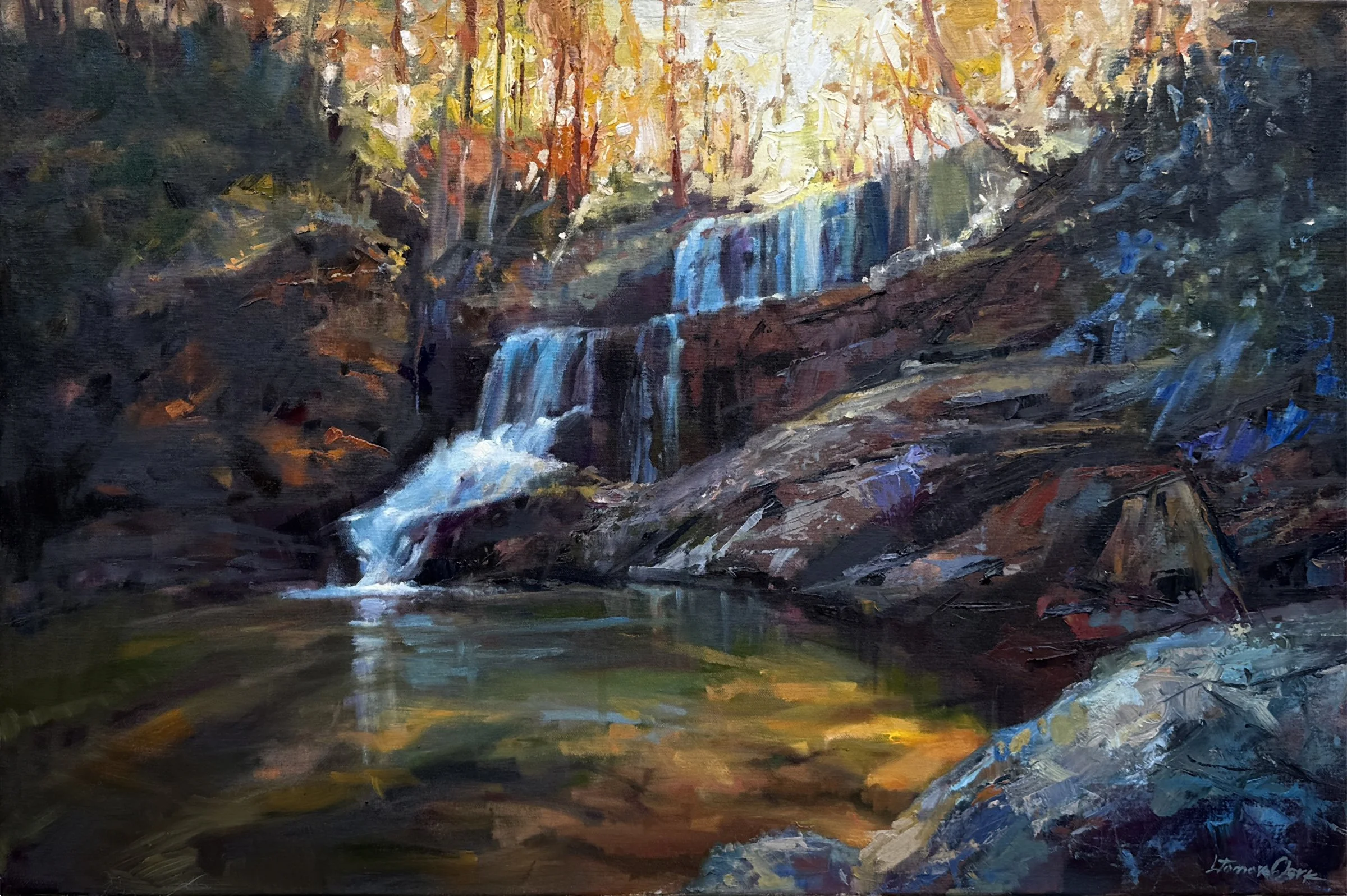 Whispers of the Falls