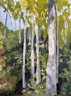 Birch In Hound Ears by Deborah Sams