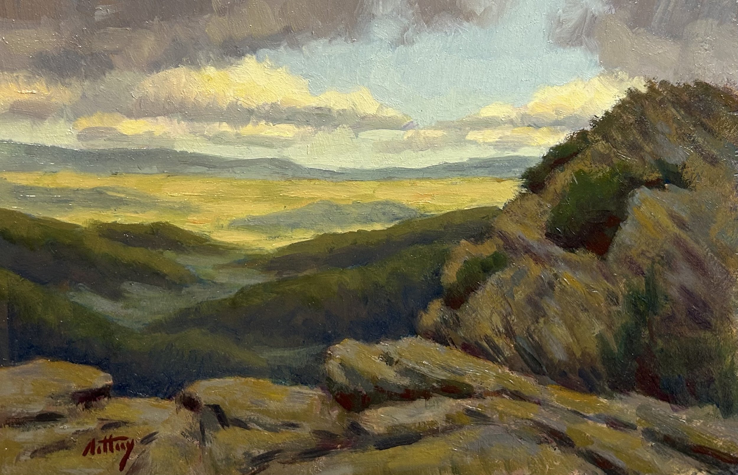 Into the Valley by Anthony Bowes