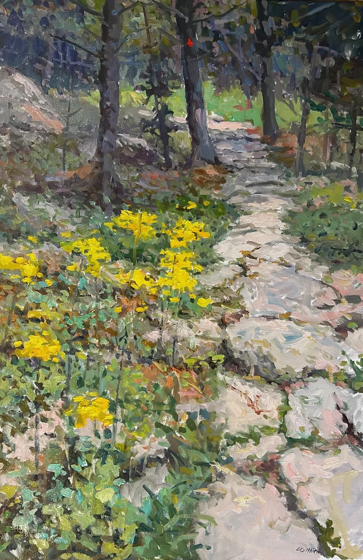 Mountain Trail  36x24.jpg