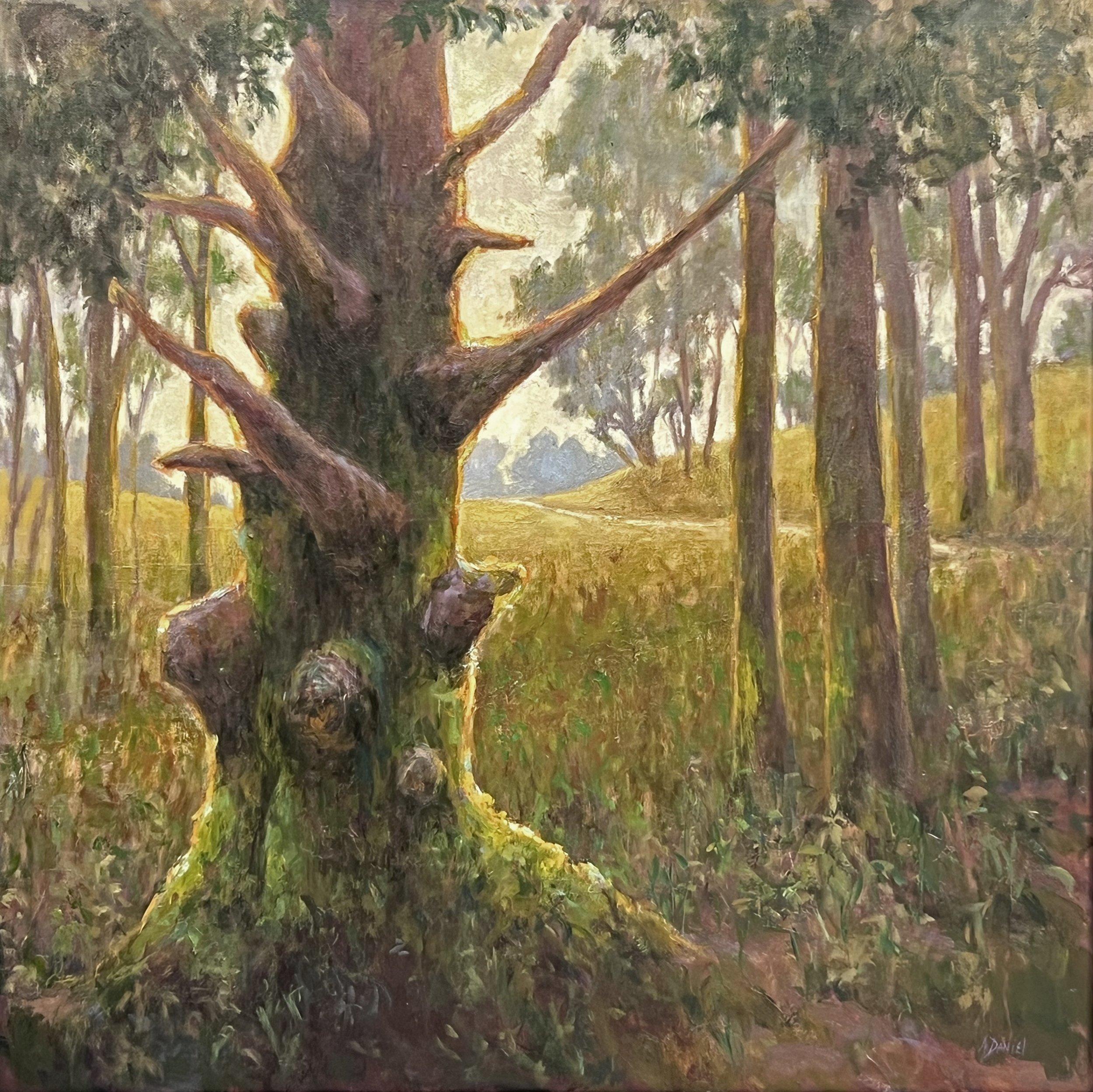 Rooted in Memories 36x36 $3250.jpg