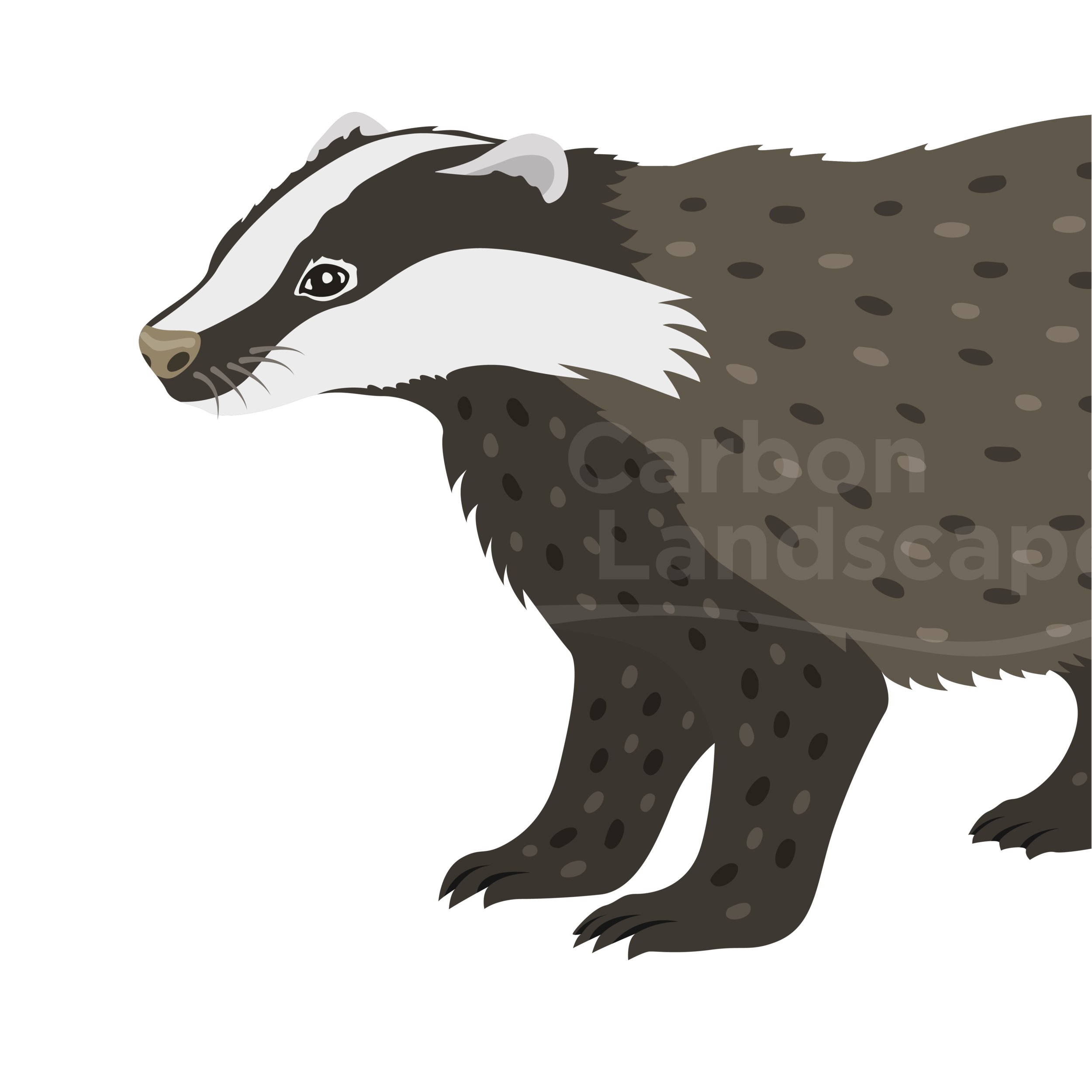 CL-species-website-11.png