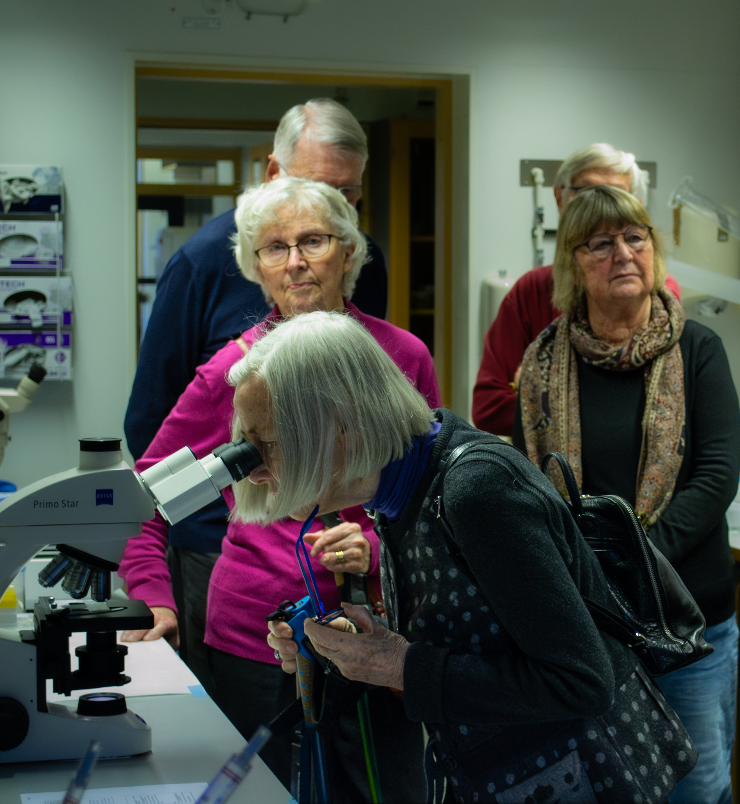 Advancement In Dyskinesia Research