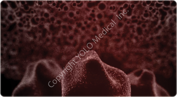 7. These components are carried away by the Lymphatic system.