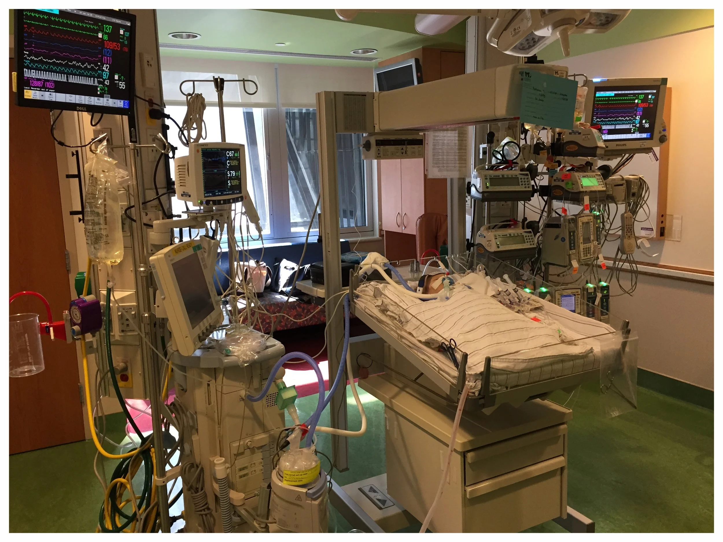  Teddy just hours post-op. &nbsp;so much to take in. 