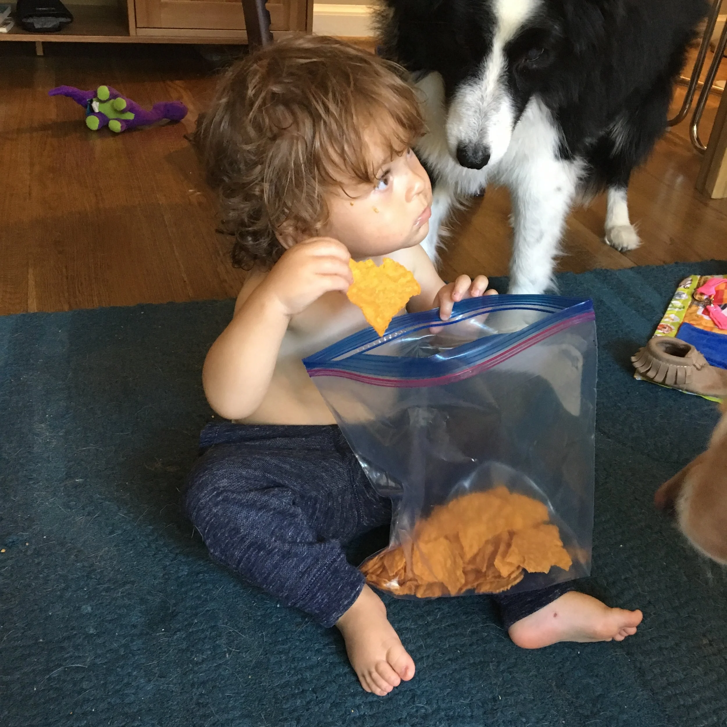 How College Prepared You for Having a Toddler ...