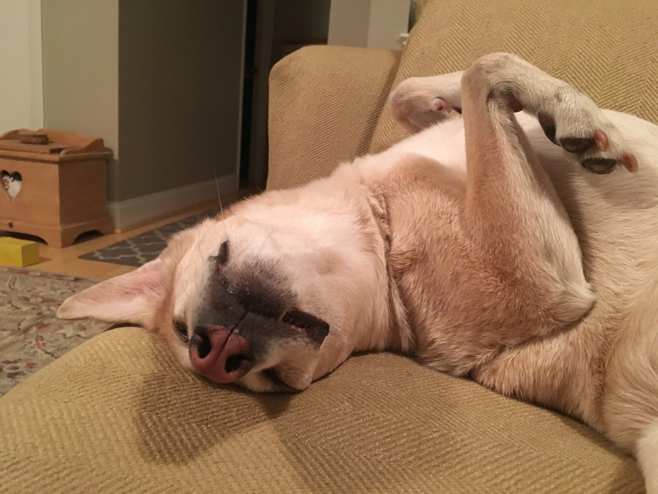sleep.JPG