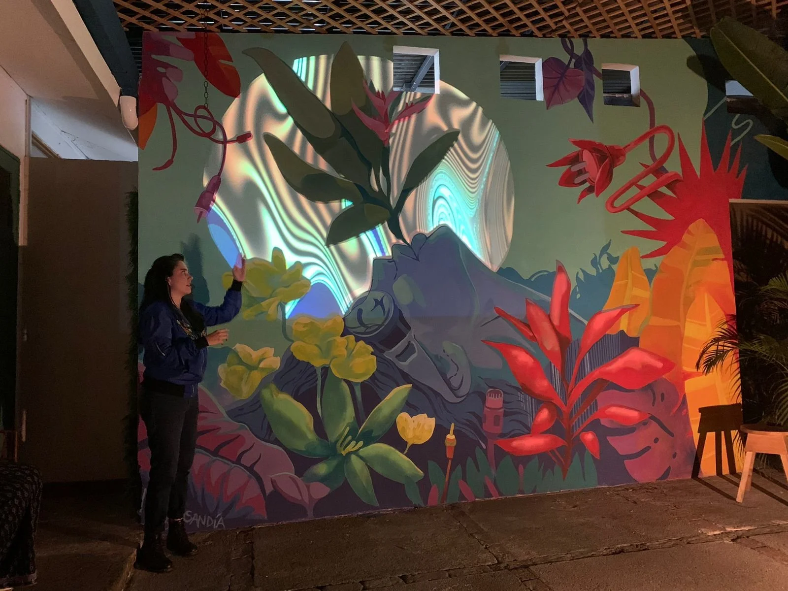 Video Mapping