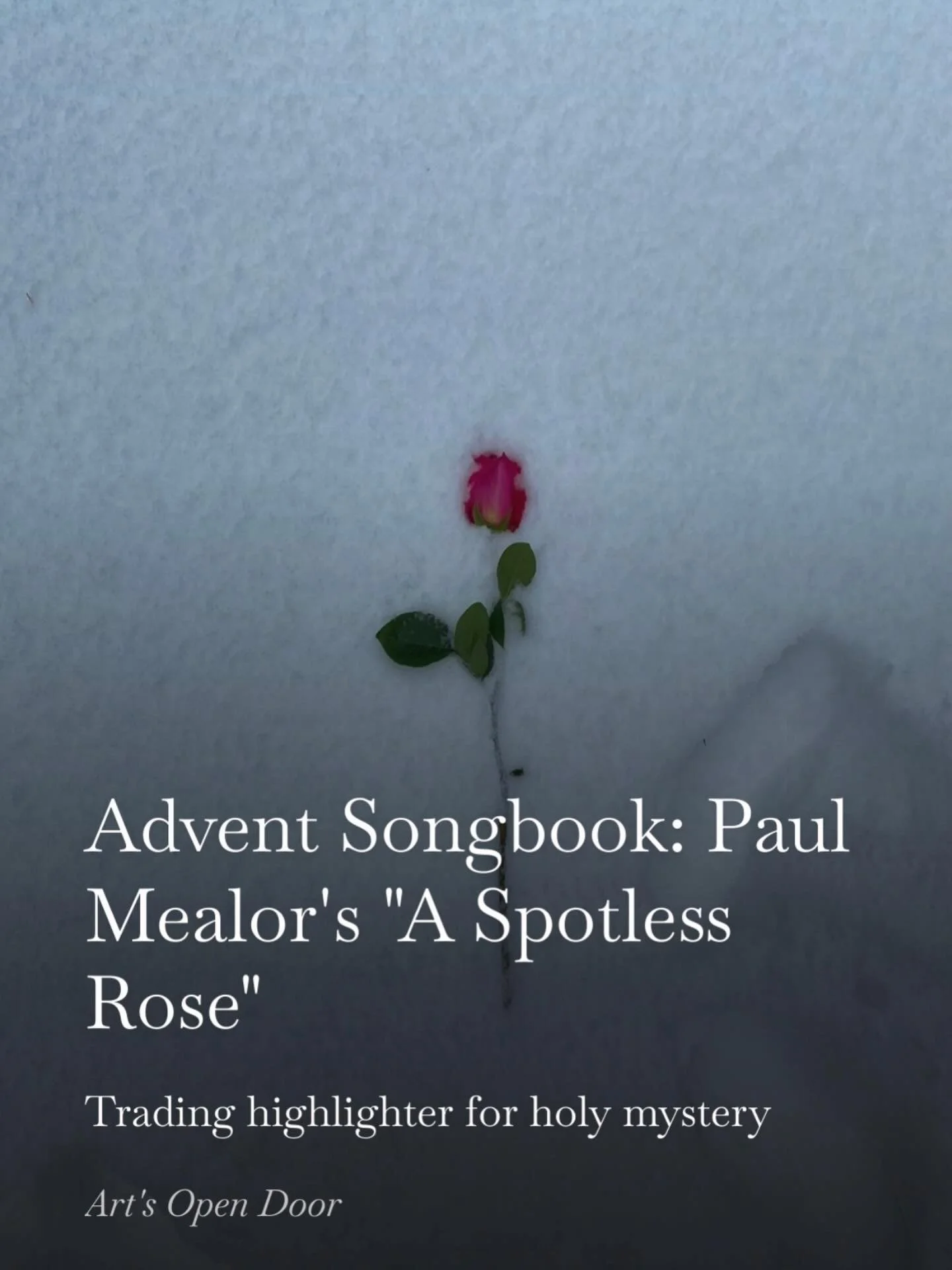 Today&rsquo;s Advent Songbook installation is live. Today I reflect on Paul Mealor&rsquo;s &ldquo;Spotless Rose.&rdquo;

An excerpt:

&ldquo;I have taken more than one highlighter to my life&rsquo;s score, I will say that. I&rsquo;ve stood silently s