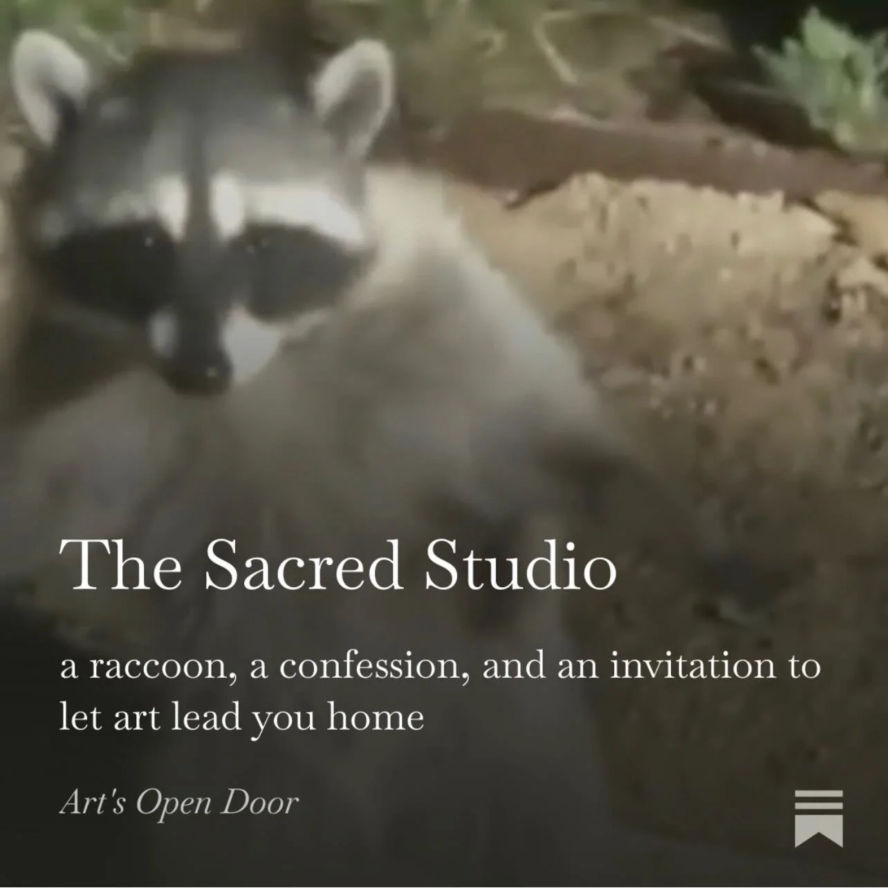 Confession: Lately, I&rsquo;m feeling a lot like the neighborhood raccoon, caught red-handed on her way somewhere she should not be going.

In the judgmental light of these days, less than three months until my new book comes out, I find myself (yet 