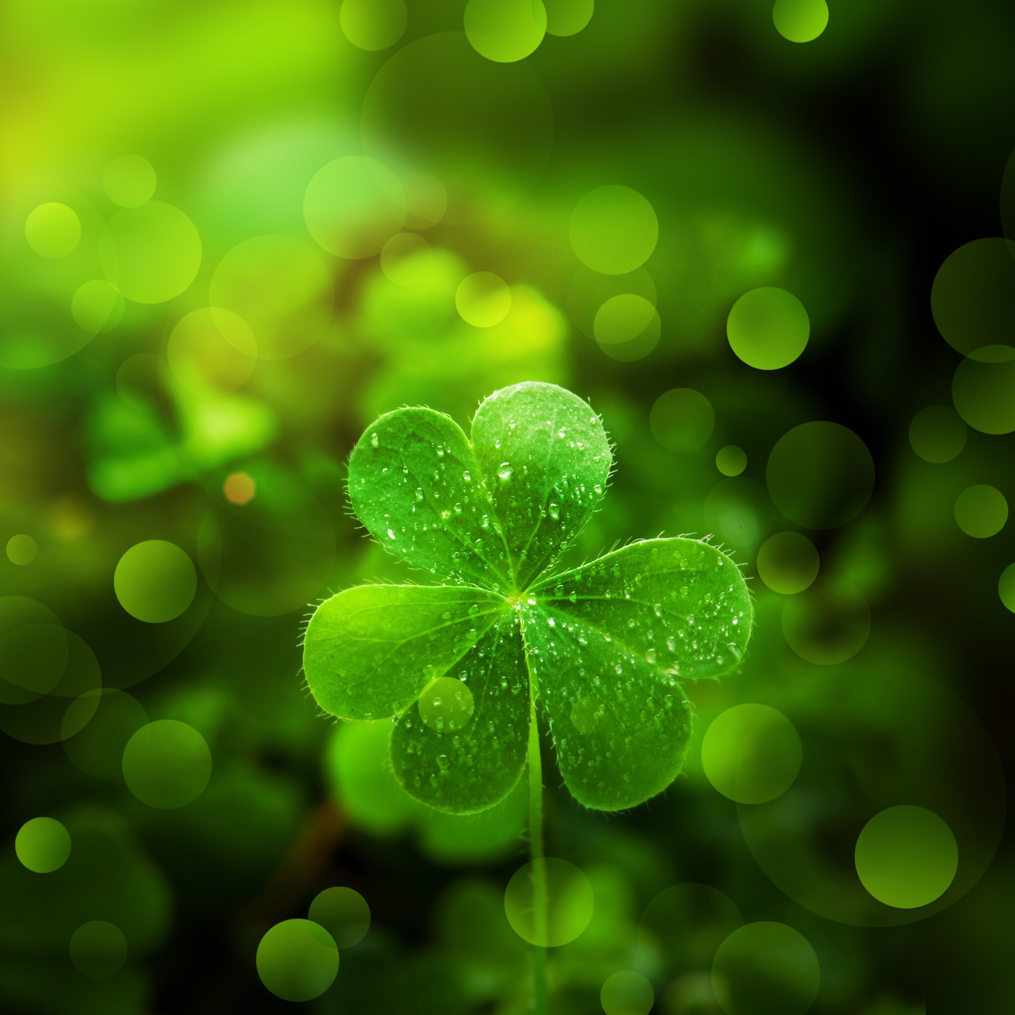 What defines luck?