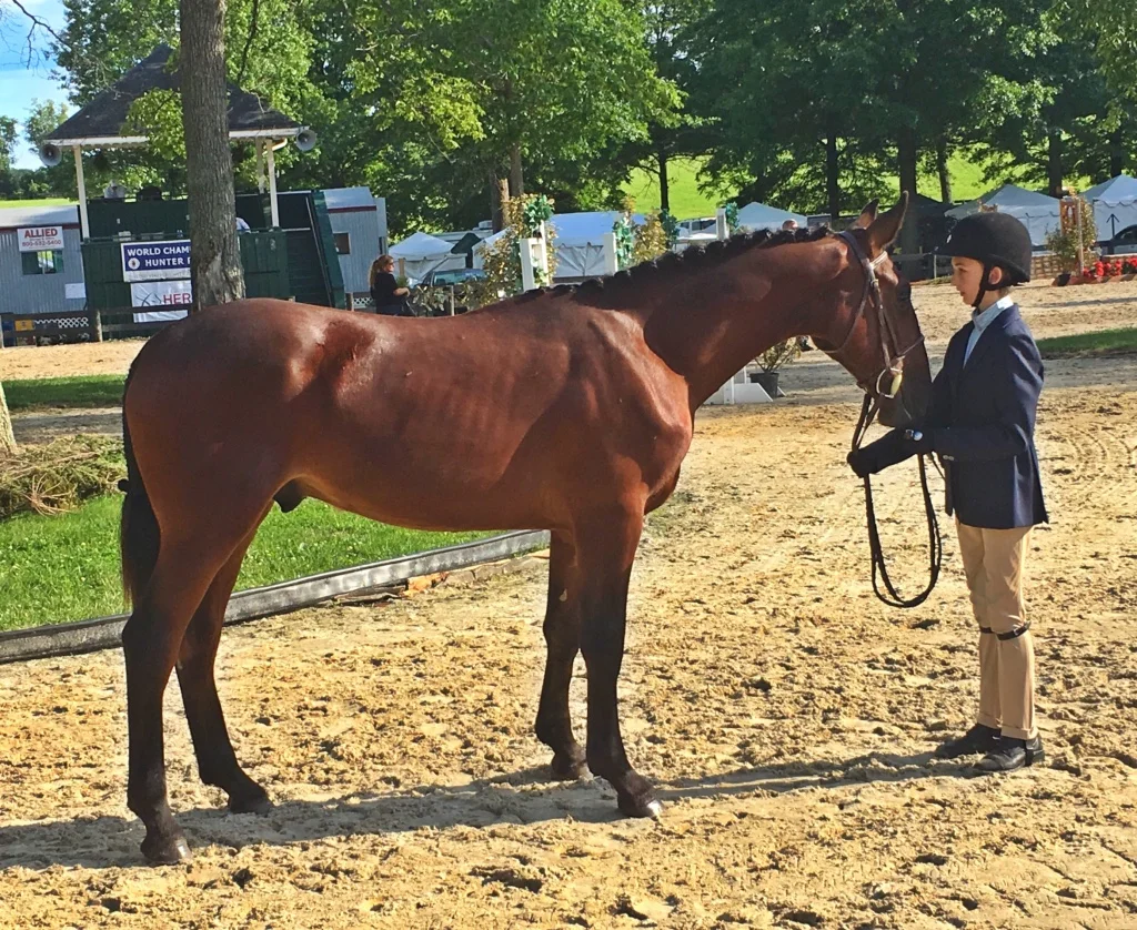 ExeterUpperville.jpg