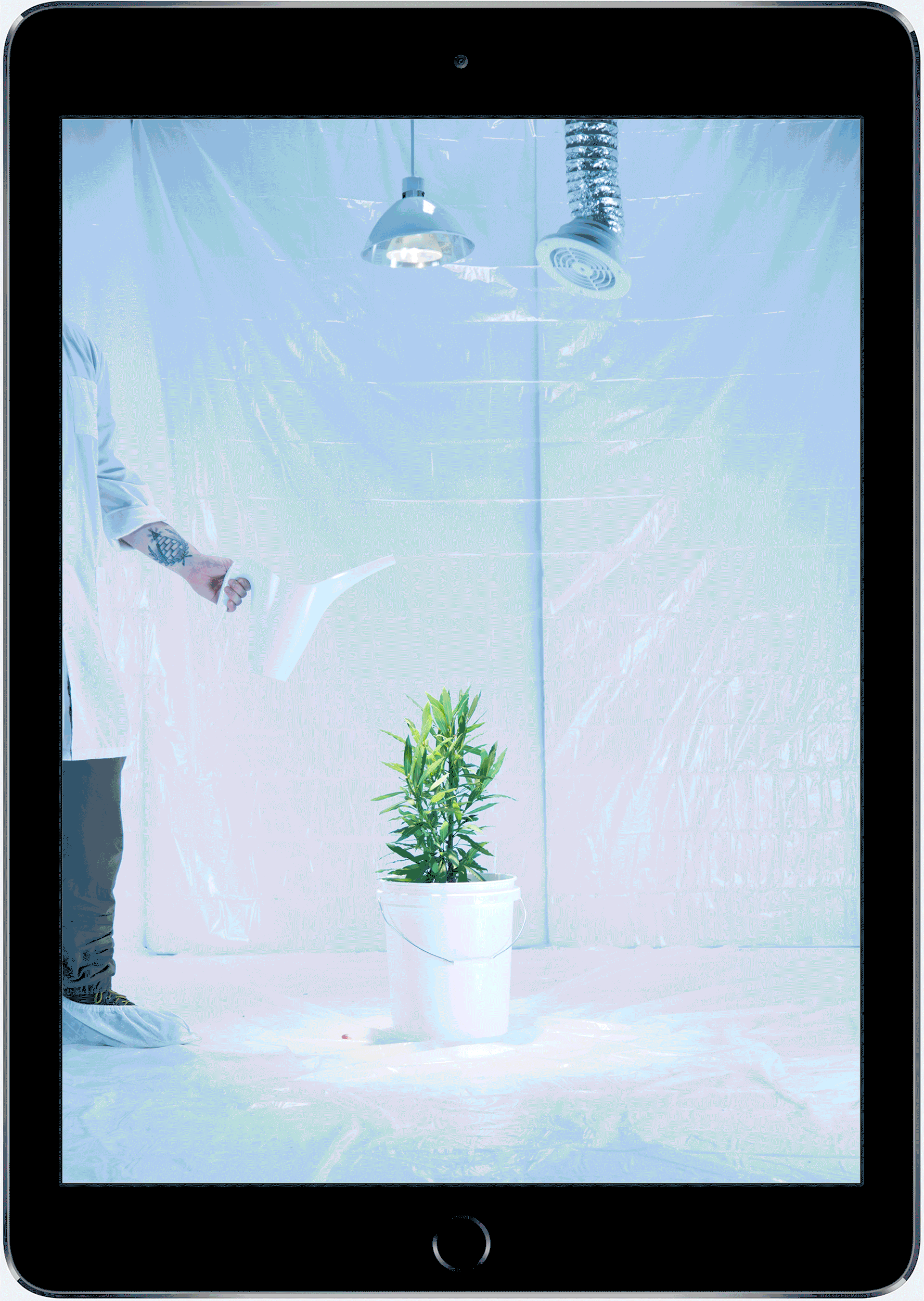 Grower_Intro.gif
