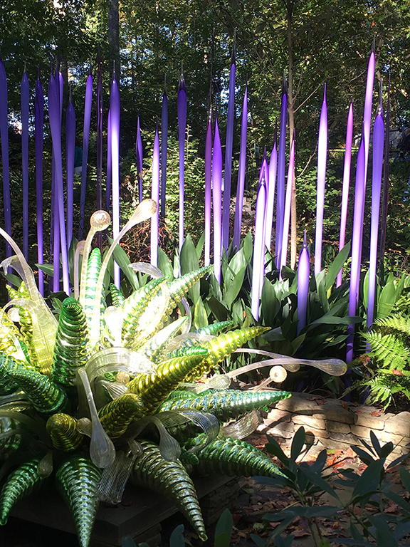 Photo by: Suzi Hammond, 2016. Chihuly's return to The Atlanta Botanical Gardens.