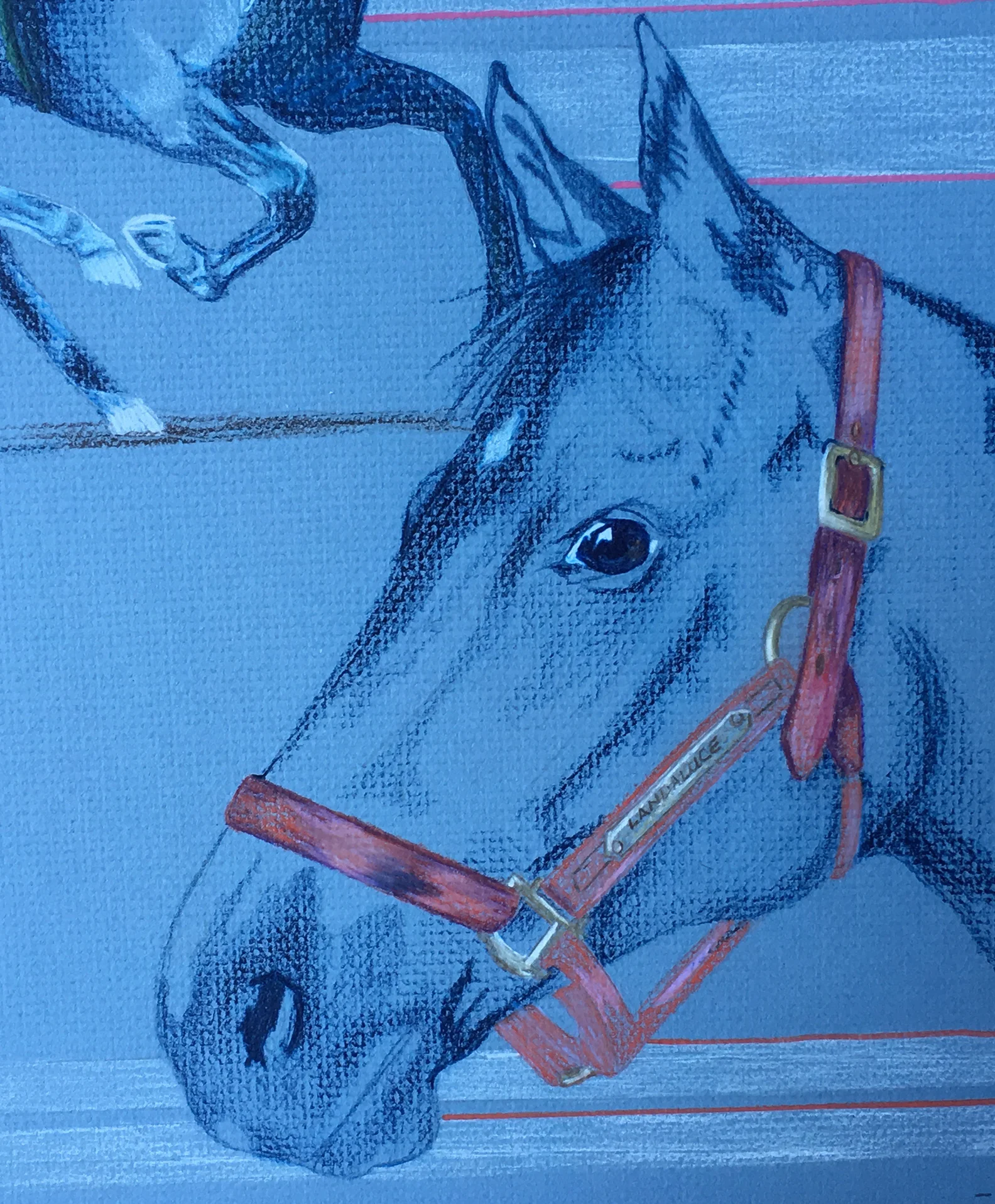 SH-Horse racing_02.jpg