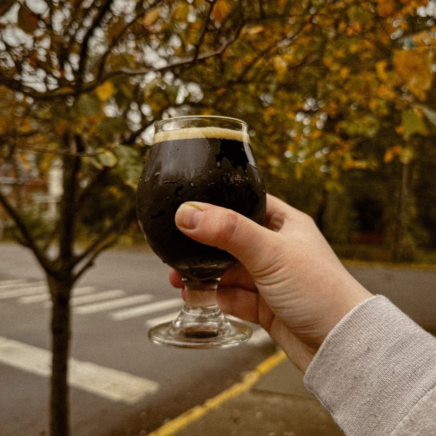 SPOOKY SCARY STOUT 🔮✨🐈‍⬛ Chocolatey, indulgent, whimsical, and conditioned on white chocolate, cinnamon, graham crackers and banana chips. 8.2% ABV. The scariest part of this #NuluBrewed beer is the impending feeling of sadness once you’r