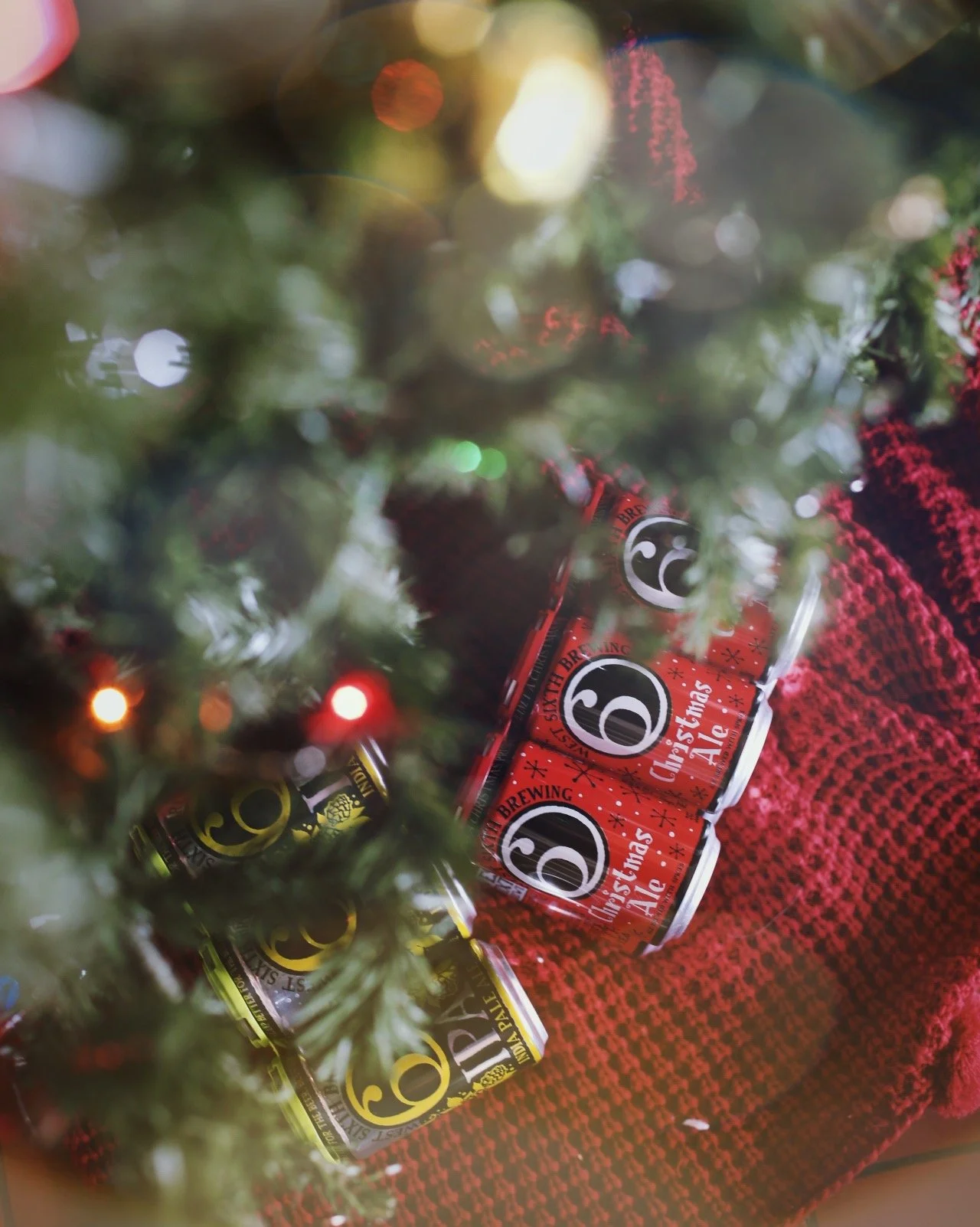 2025-12-15 - xmas under tree(1).jpg
