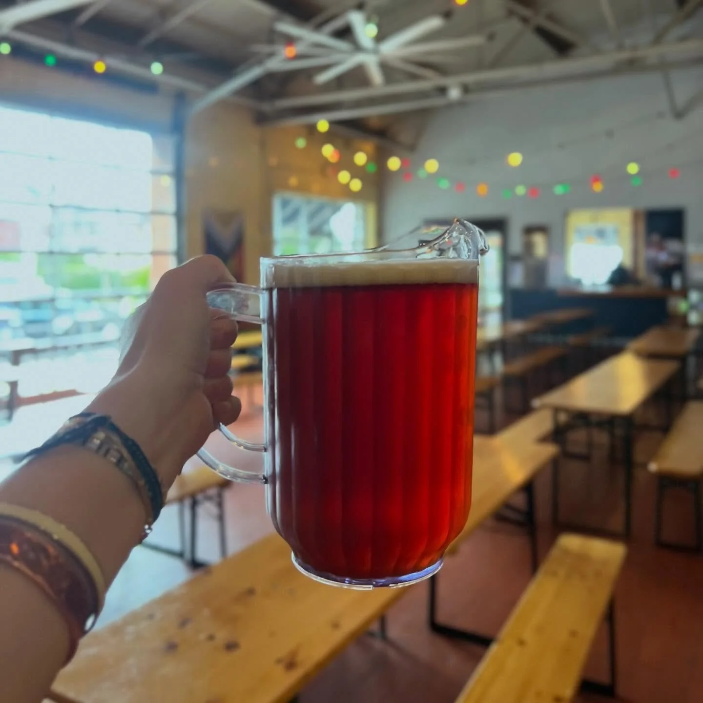 GAME DAY PITCHERS! $15 Flagships for cheering on the CATS this afternoon!! Come by for lunch with your crew! 🍻💙🧢😸 running til&rsquo; 2pm!