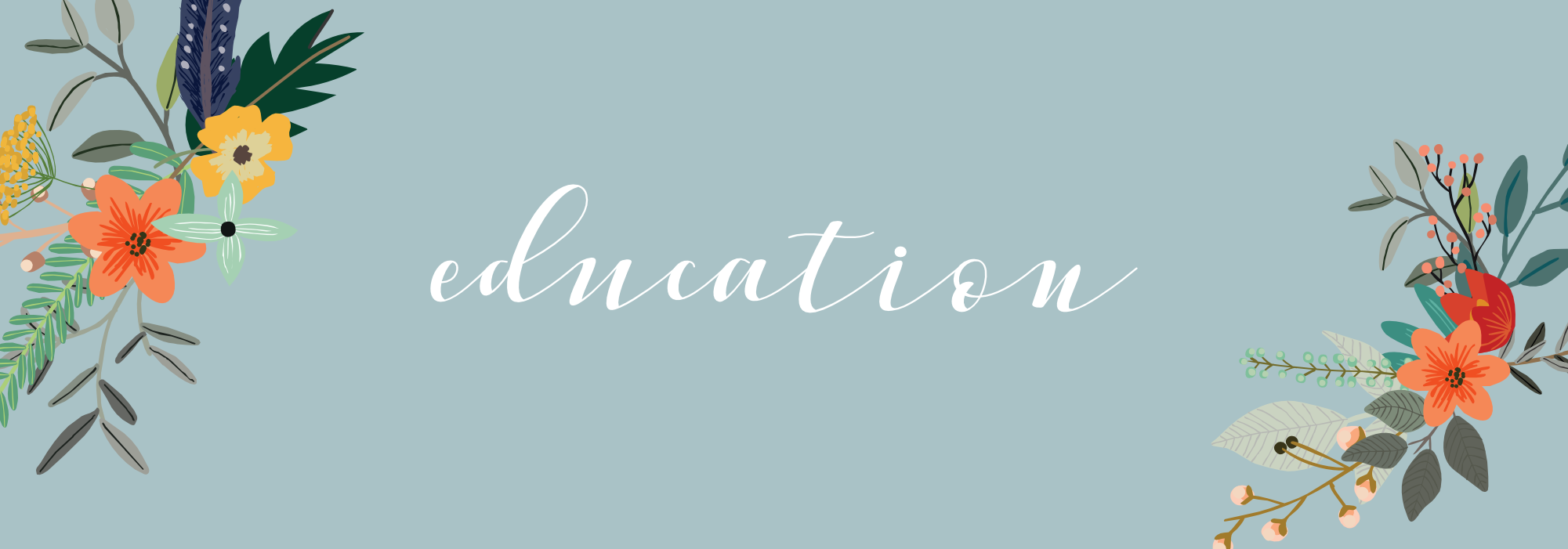 JillPulver.educaiton.banner.png