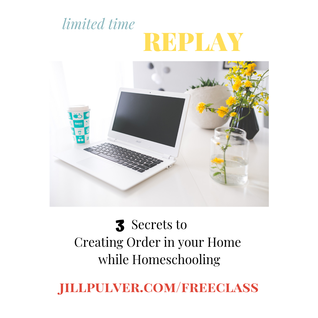 Webinar Replay IG post.png