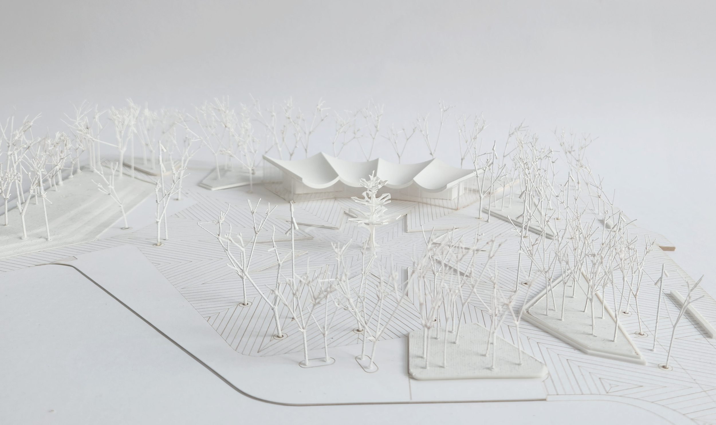 OPT Physical model