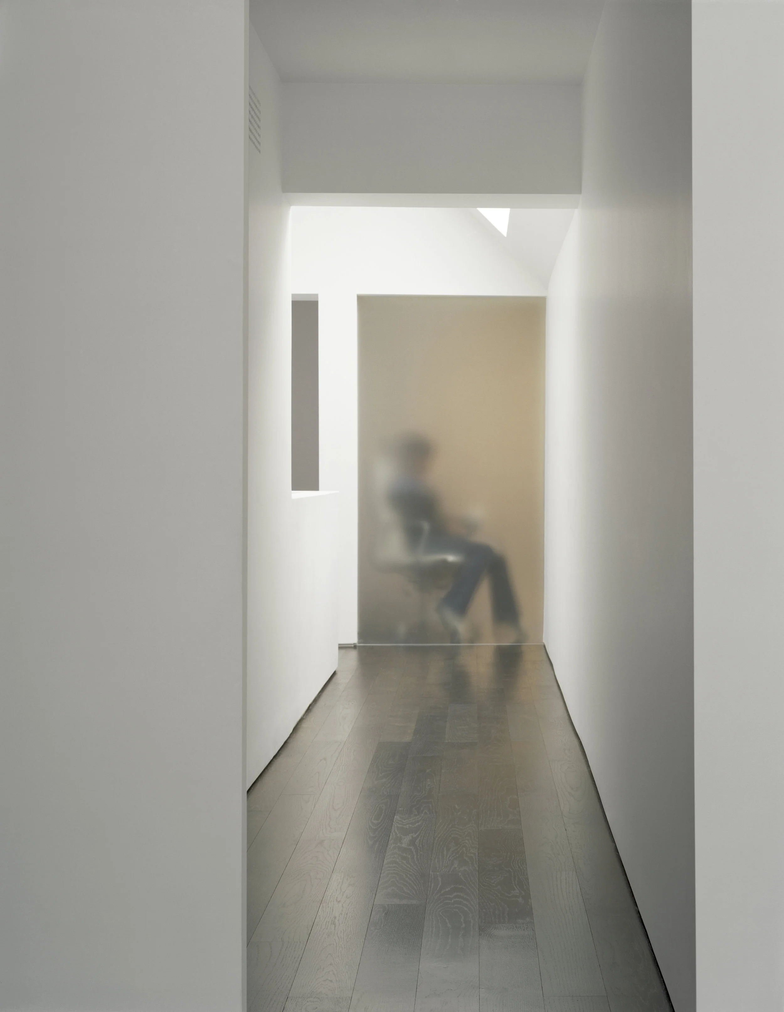 Copy of Russell Hill Road - Hallway Black Floor Frosted Glass