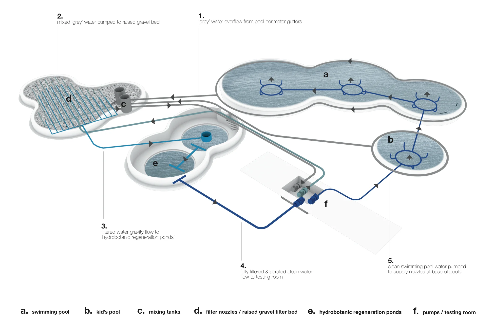 Natural Swim Experience - Pool Diagram