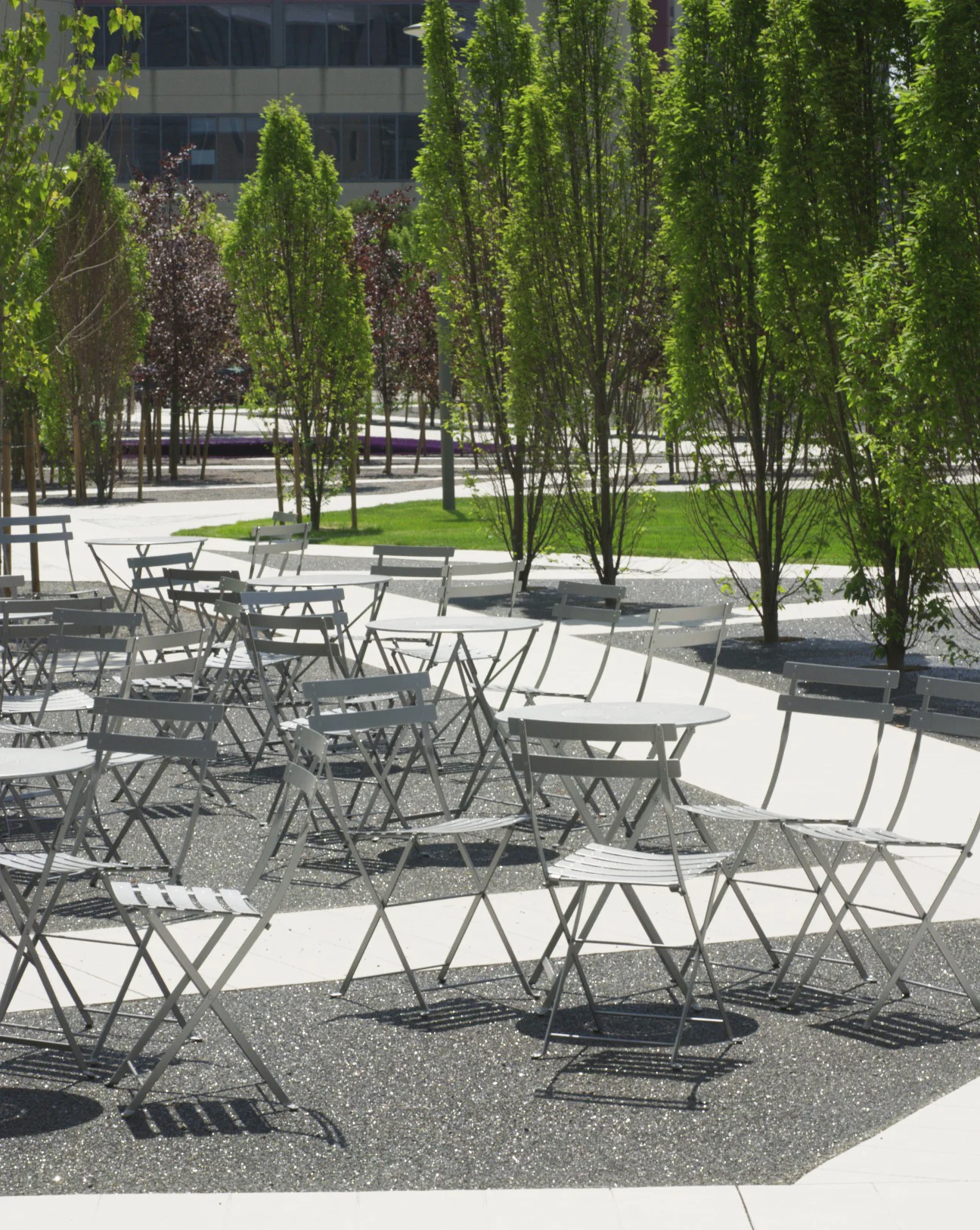 Scholars Green - Trees Dining Tables Chairs