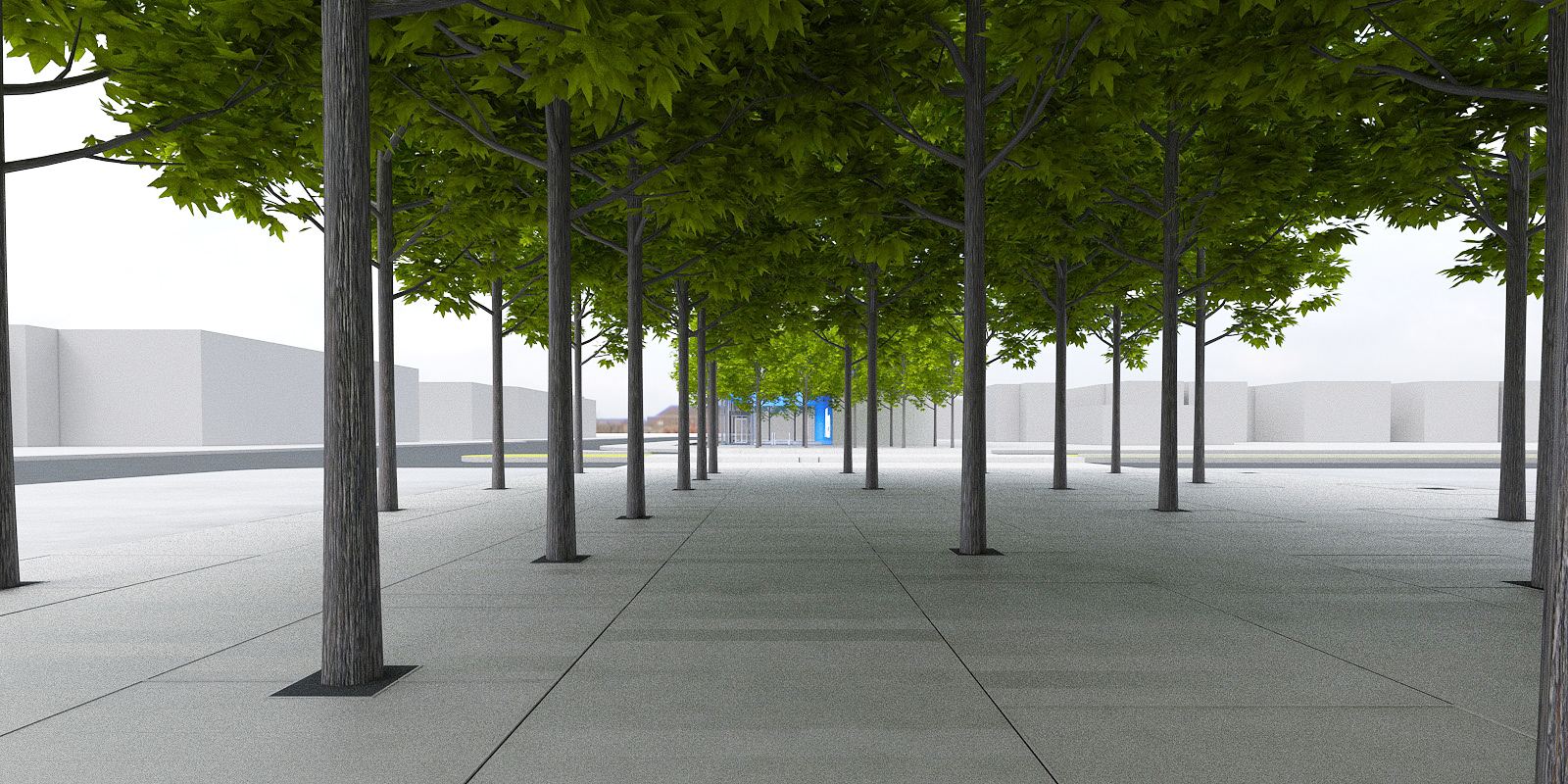 Eglinton Crosstown LRT DX - Urban Realm Tree Grove