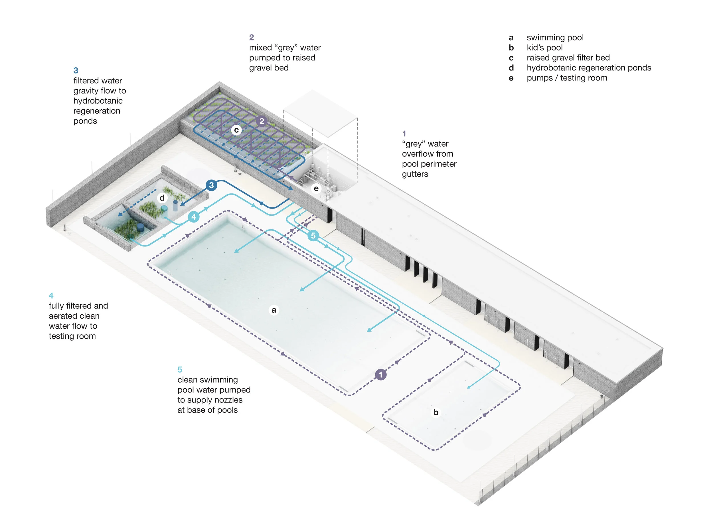gh3 - Borden Park Natural Swimming Pool - Water Flow Diagram
