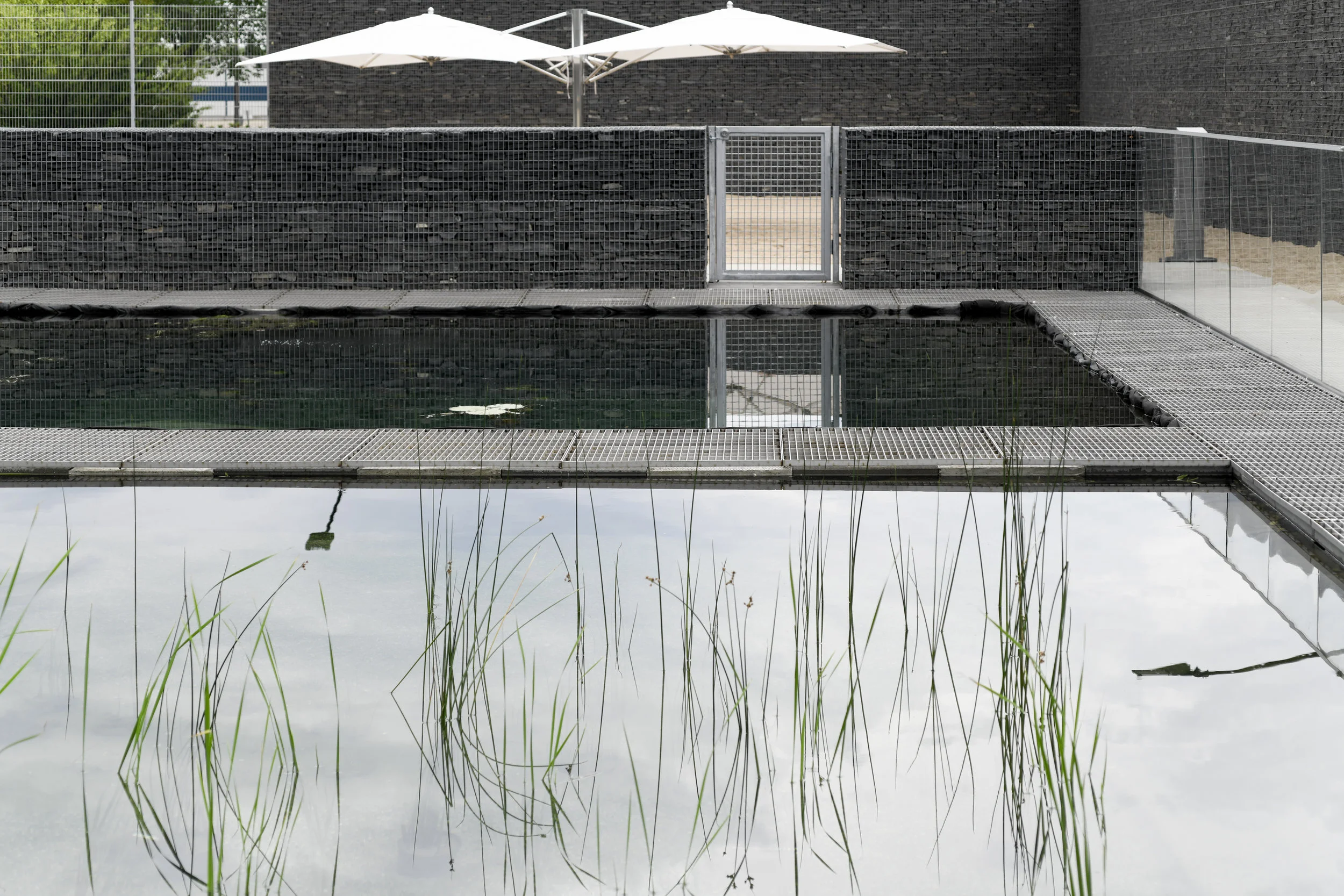 gh3 - Borden Park Natural Swimming Pool - Hydrobotanic Pond