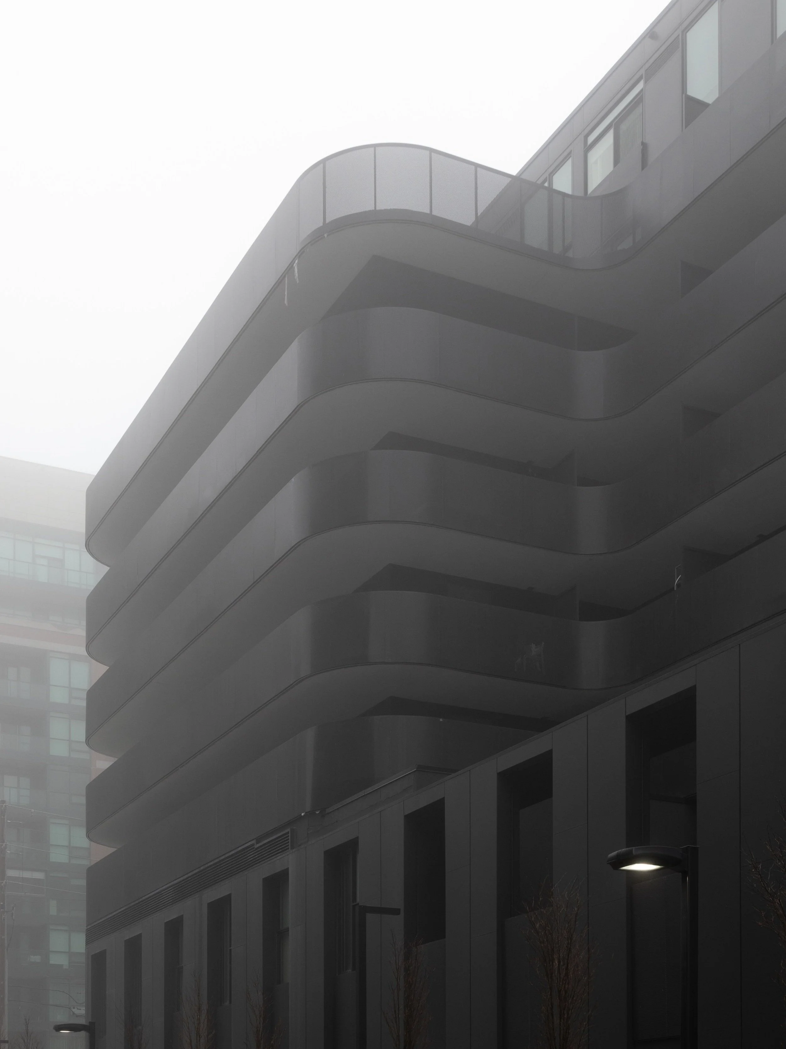 Tippett Black (Copy)