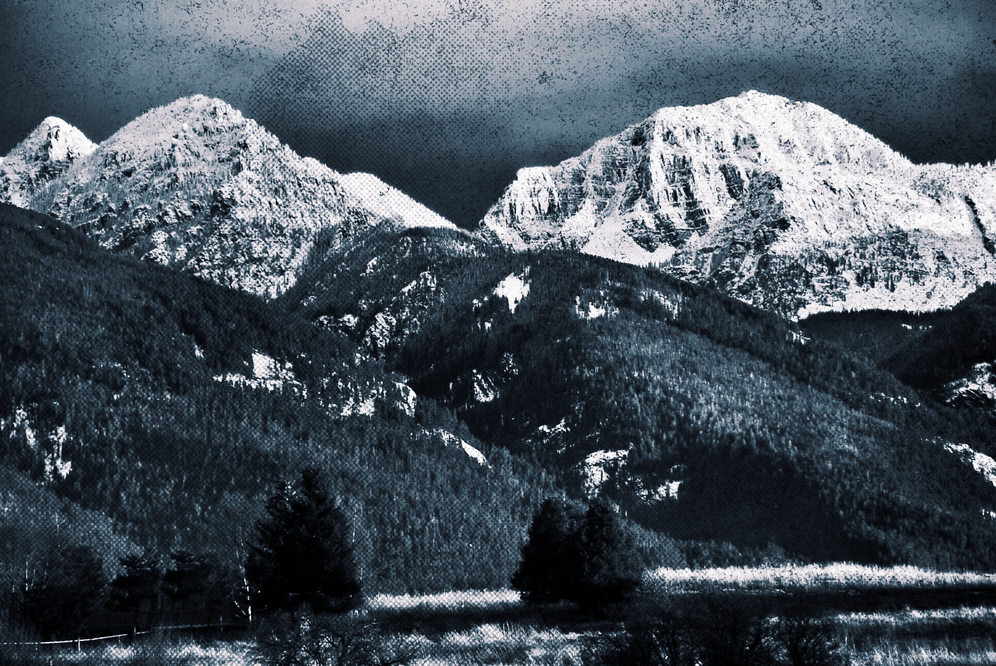 alpine_force_5.jpg