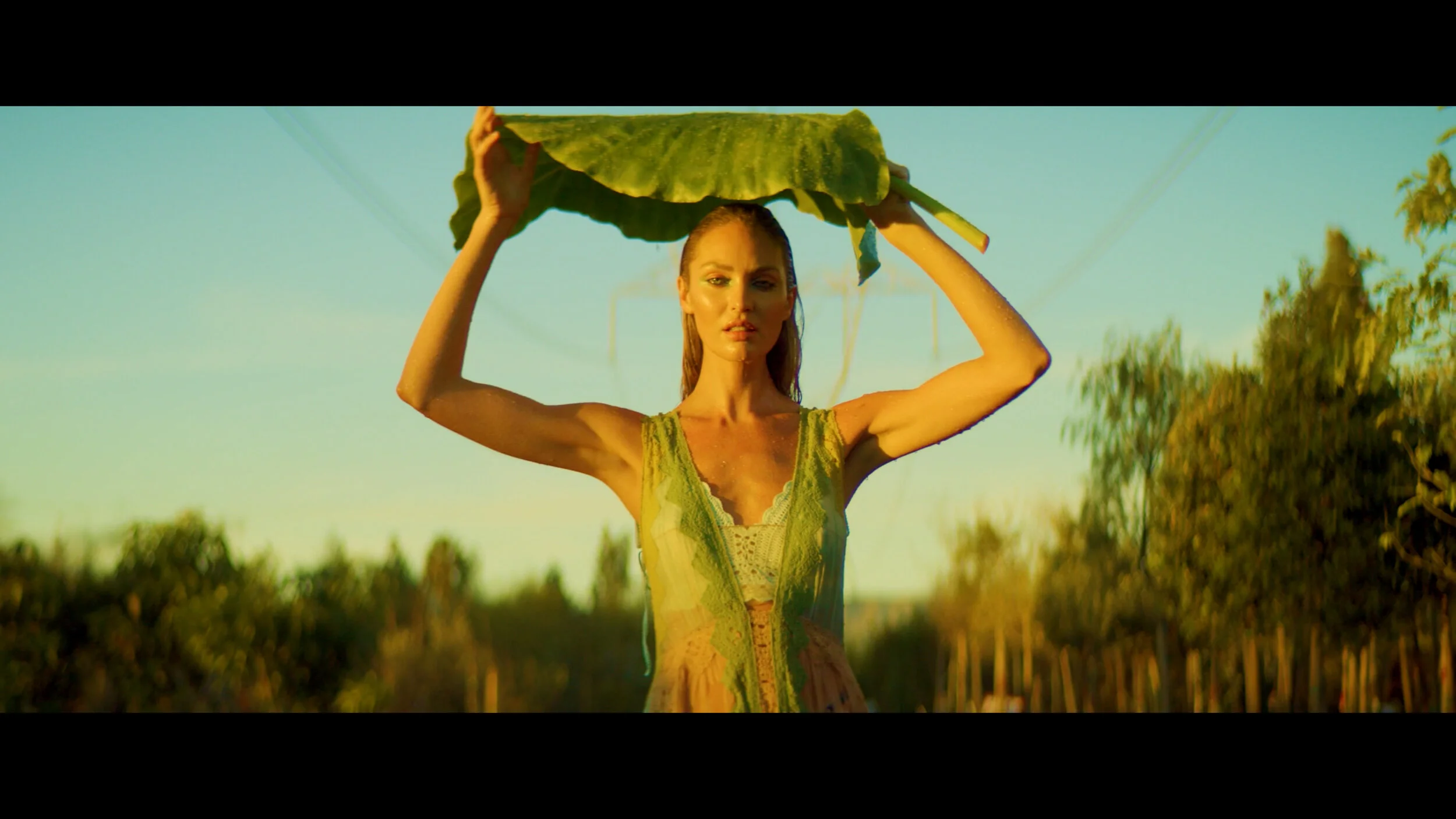 Screen Shot 2019-11-11 at 3.02.07 PM.jpg