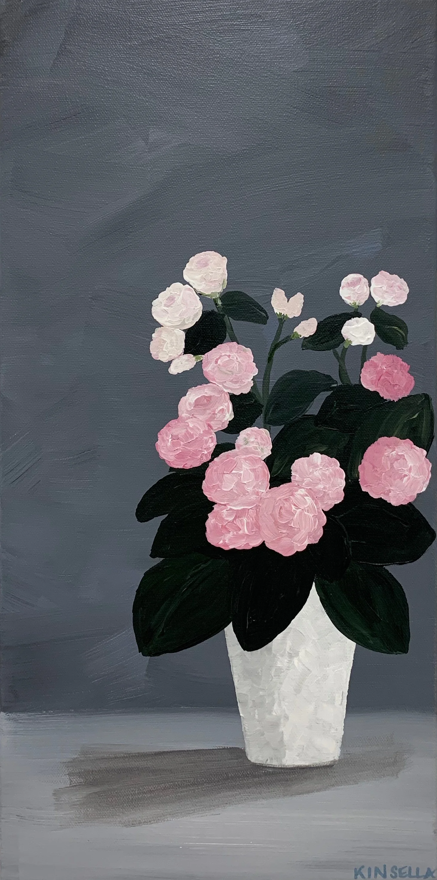 BEGONIAS