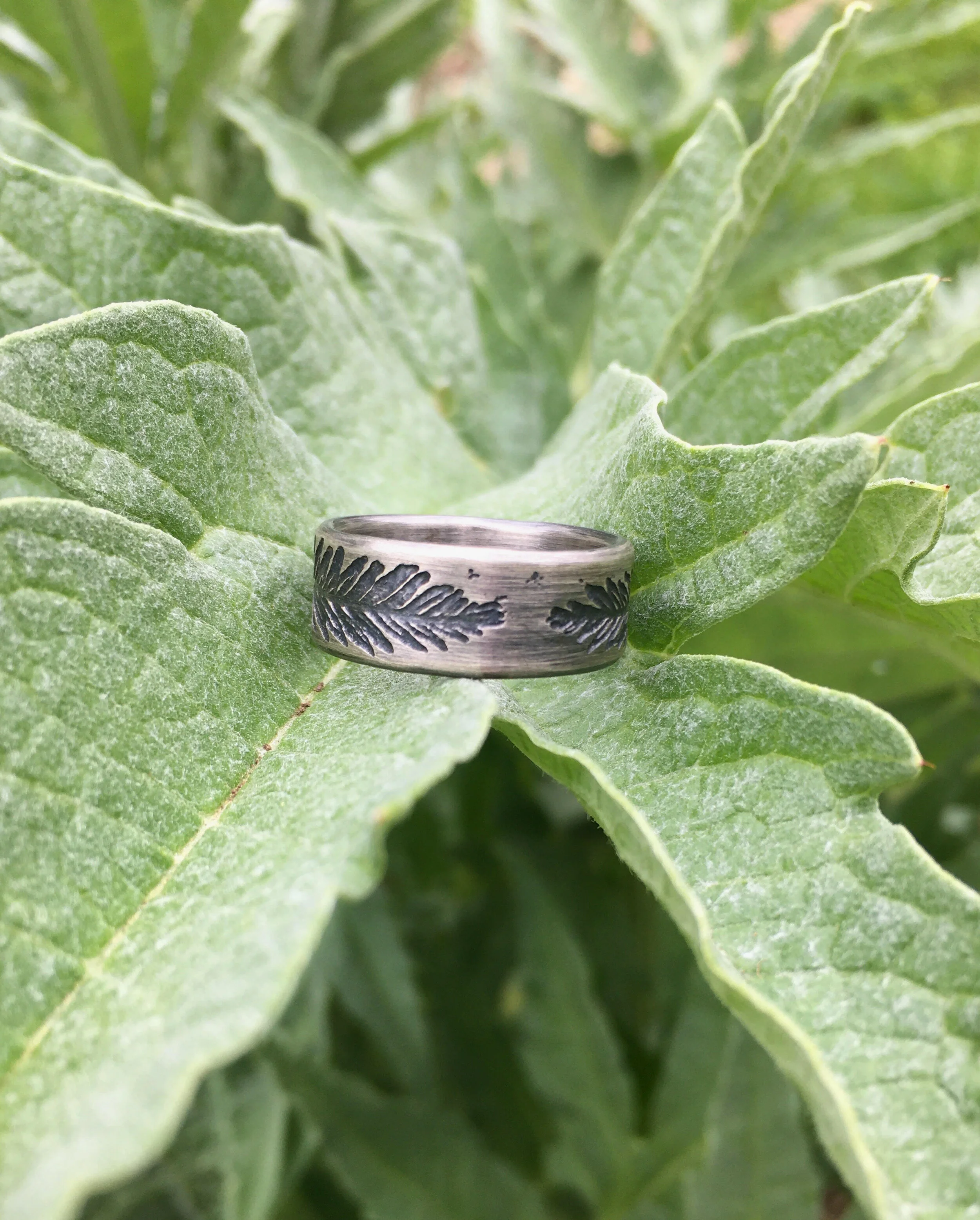 etched band 2b.jpg