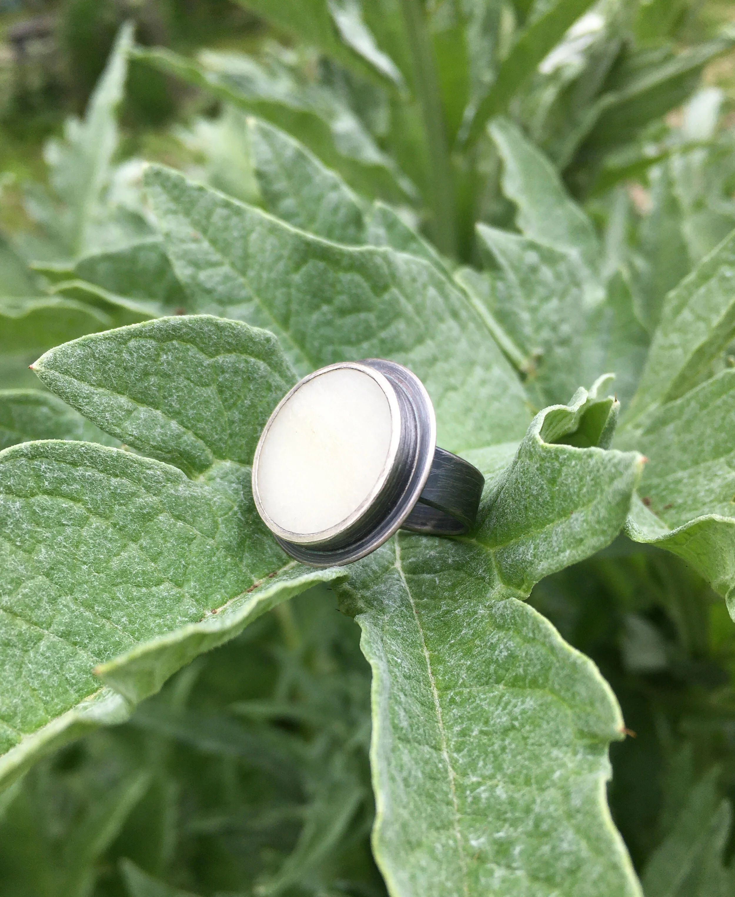 bone ring 2.jpg
