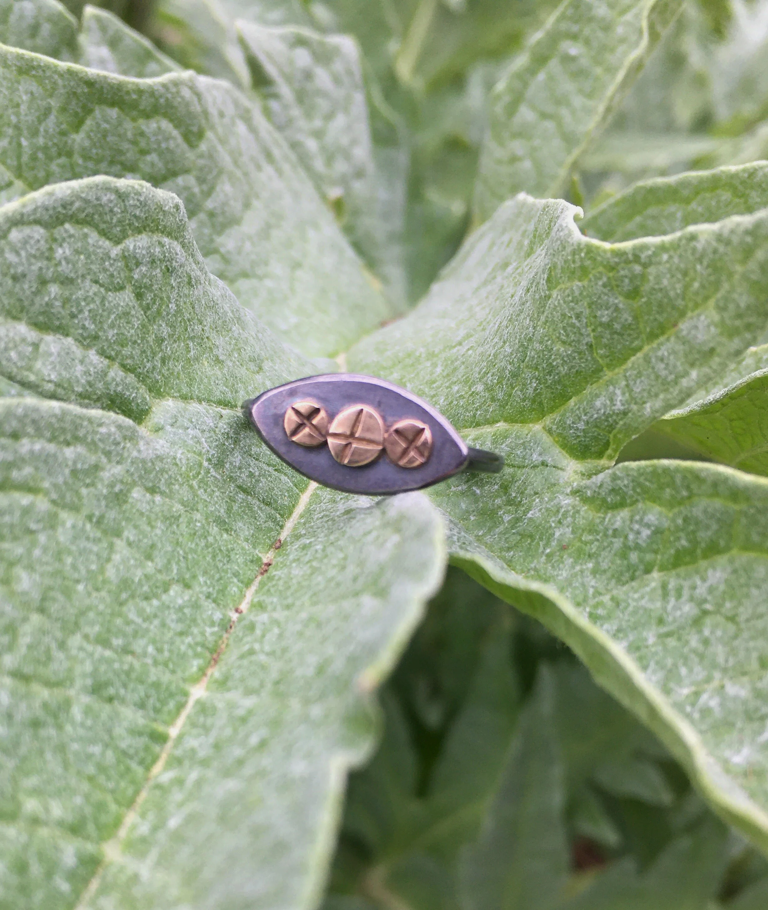 scre ring phil 2.jpg
